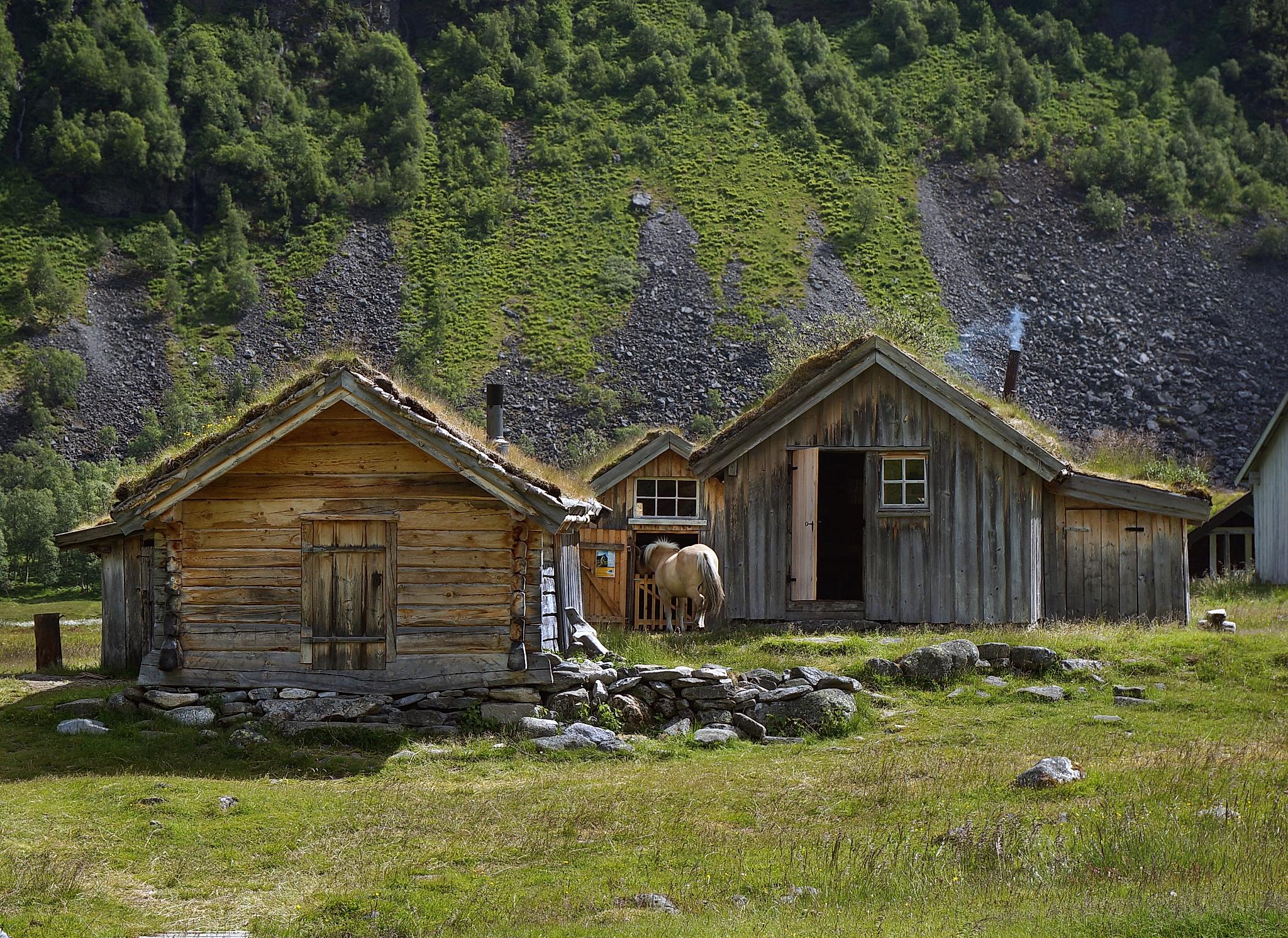 Old wooden houses at Herdalssetra farm in Norddal in Møre og Romsdal, Fjord Norway