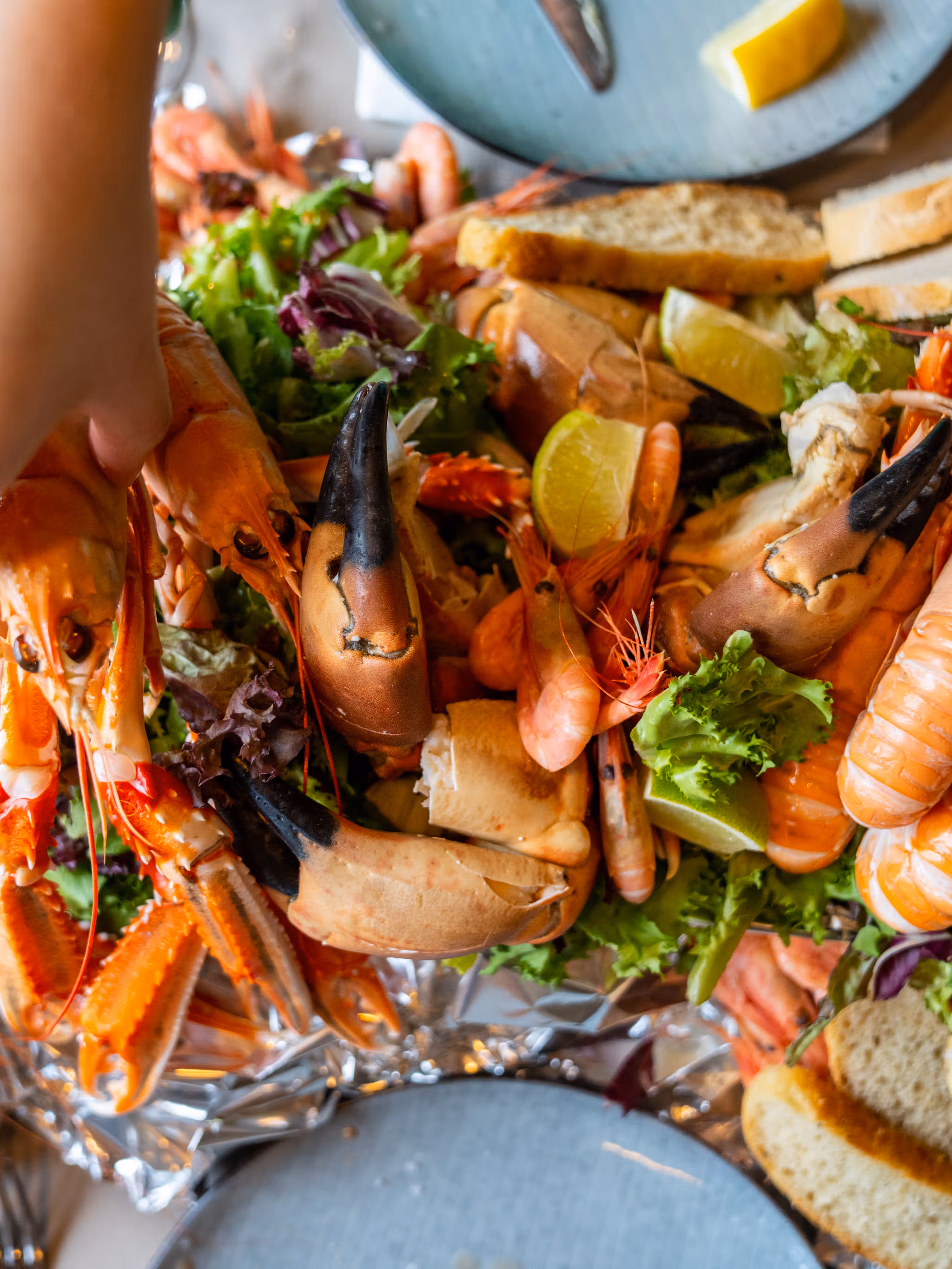 Shellfish feast of crab, shrimp and crayfish at Ansnes Brygger restaurant at Hitra island in Trøndelag