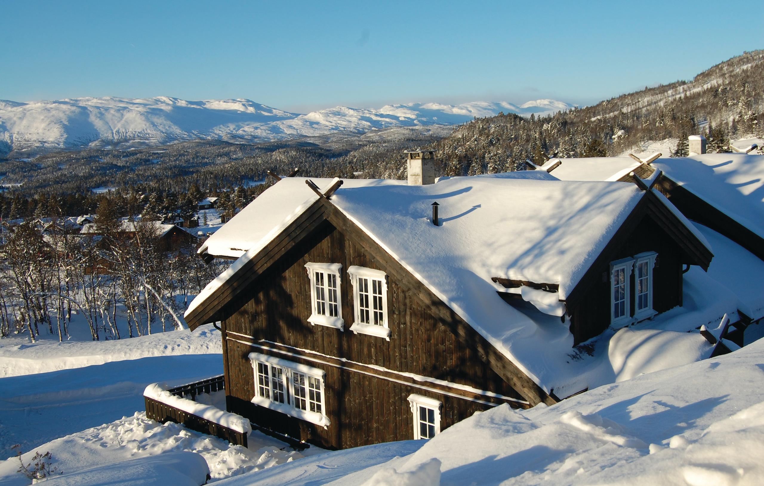 Cabin in Rauland