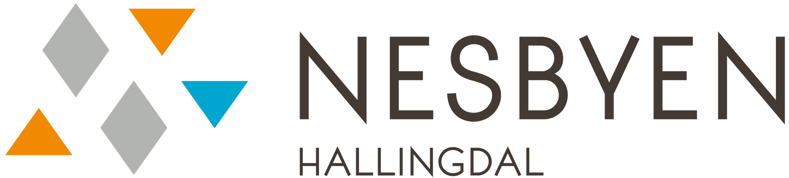 Visit Nesbyen logo