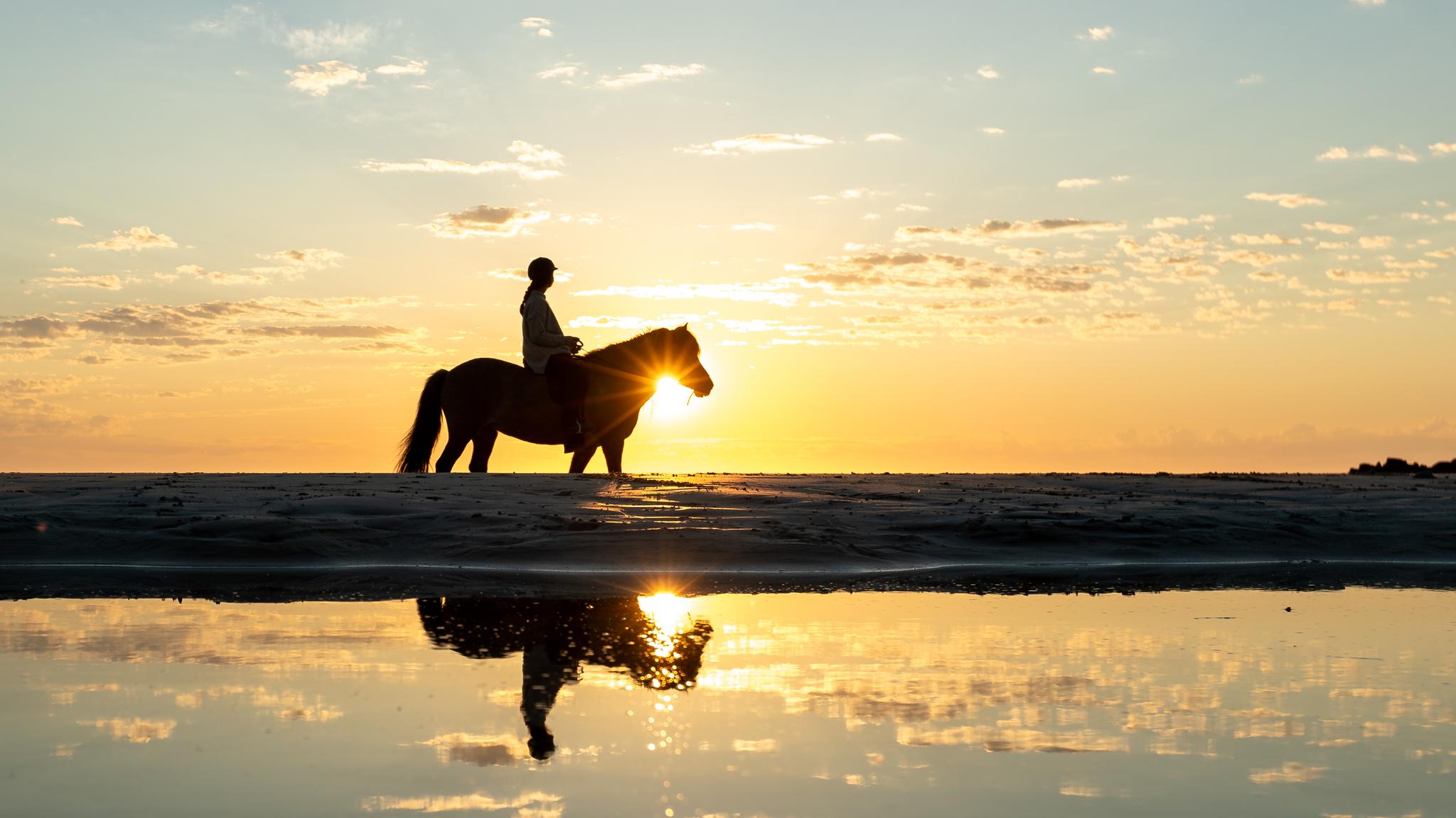 A person horseback riding at a beach at sunset in Lofoten, Northern Norway