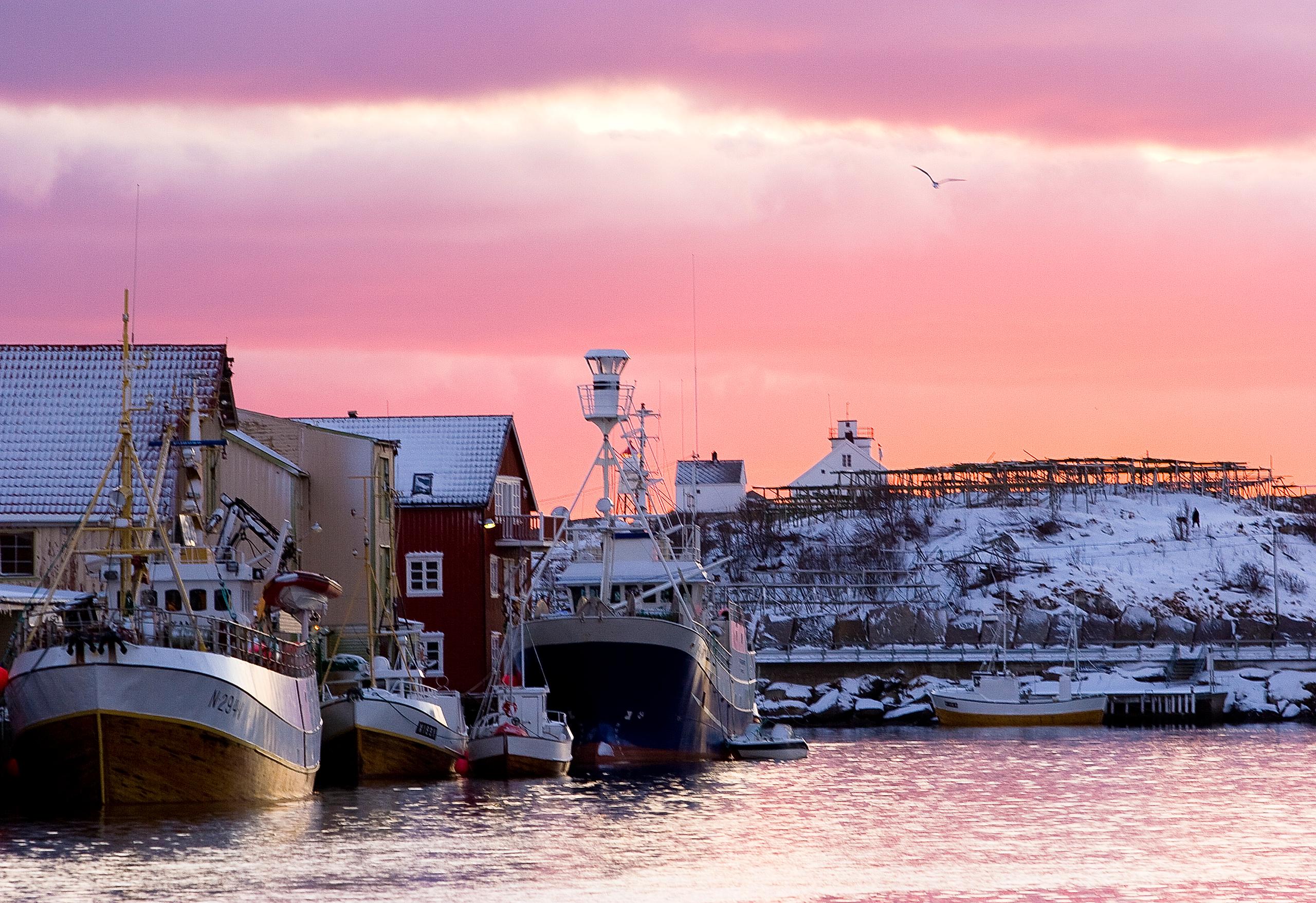 Henningsvær harbour at sunset in winter, Lofoten, Northern Norway