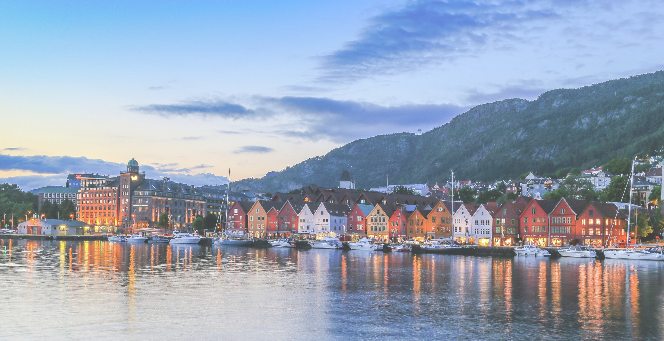 bryggen opaque