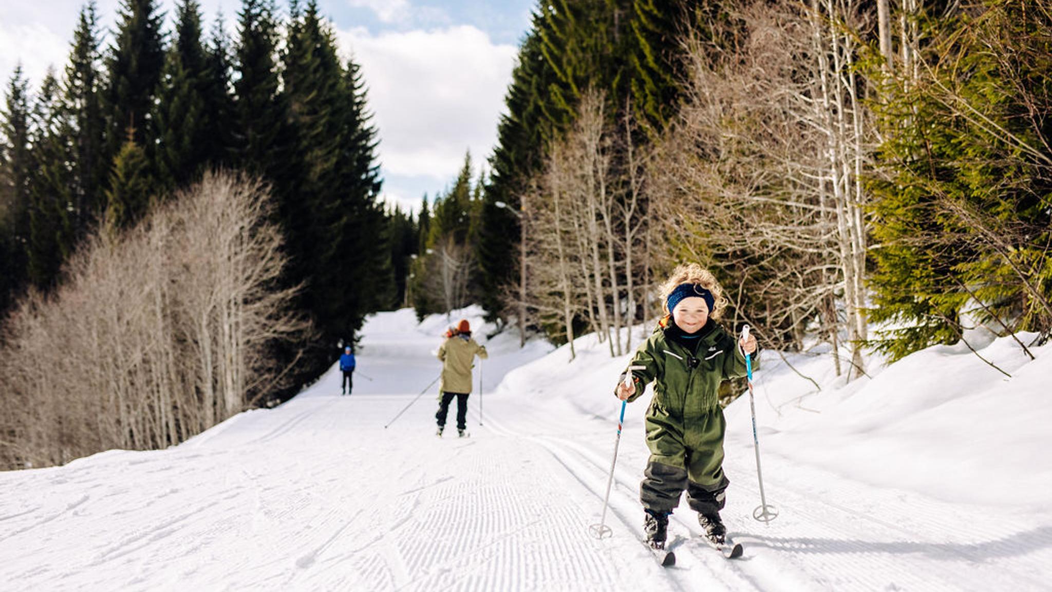 A little boy skiing on cross-country trails.