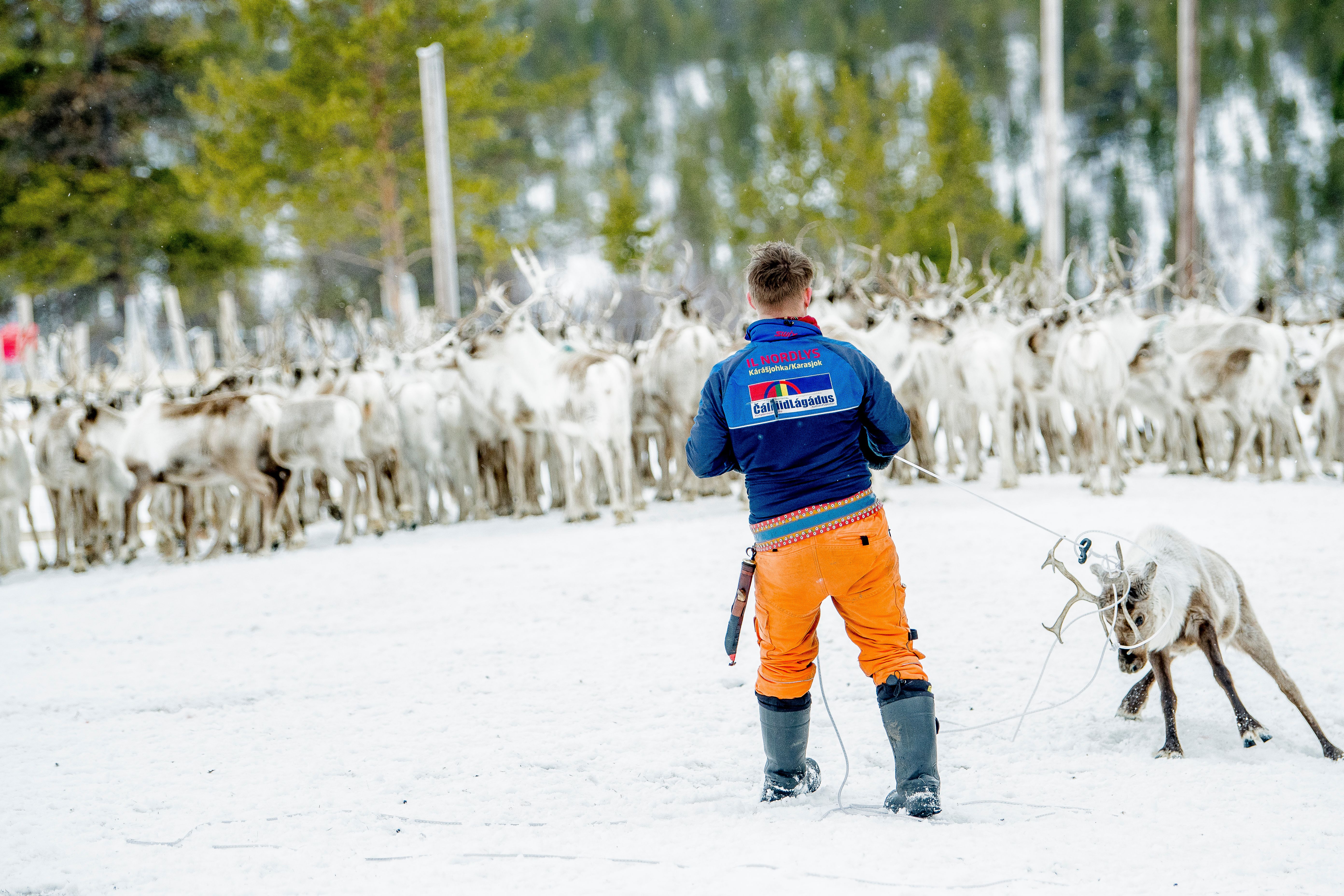 Finnmarksvidda