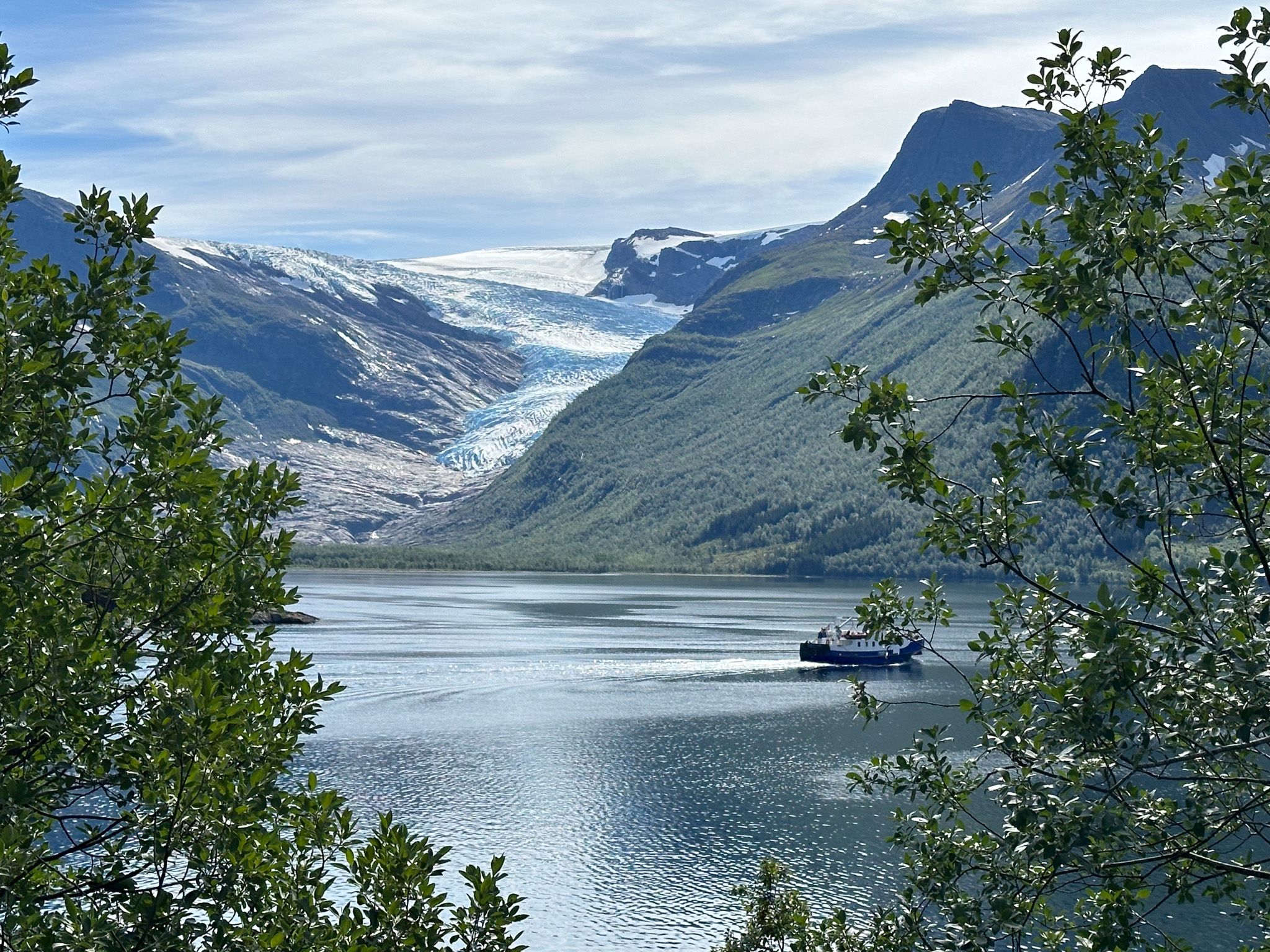 Svartisen isbre