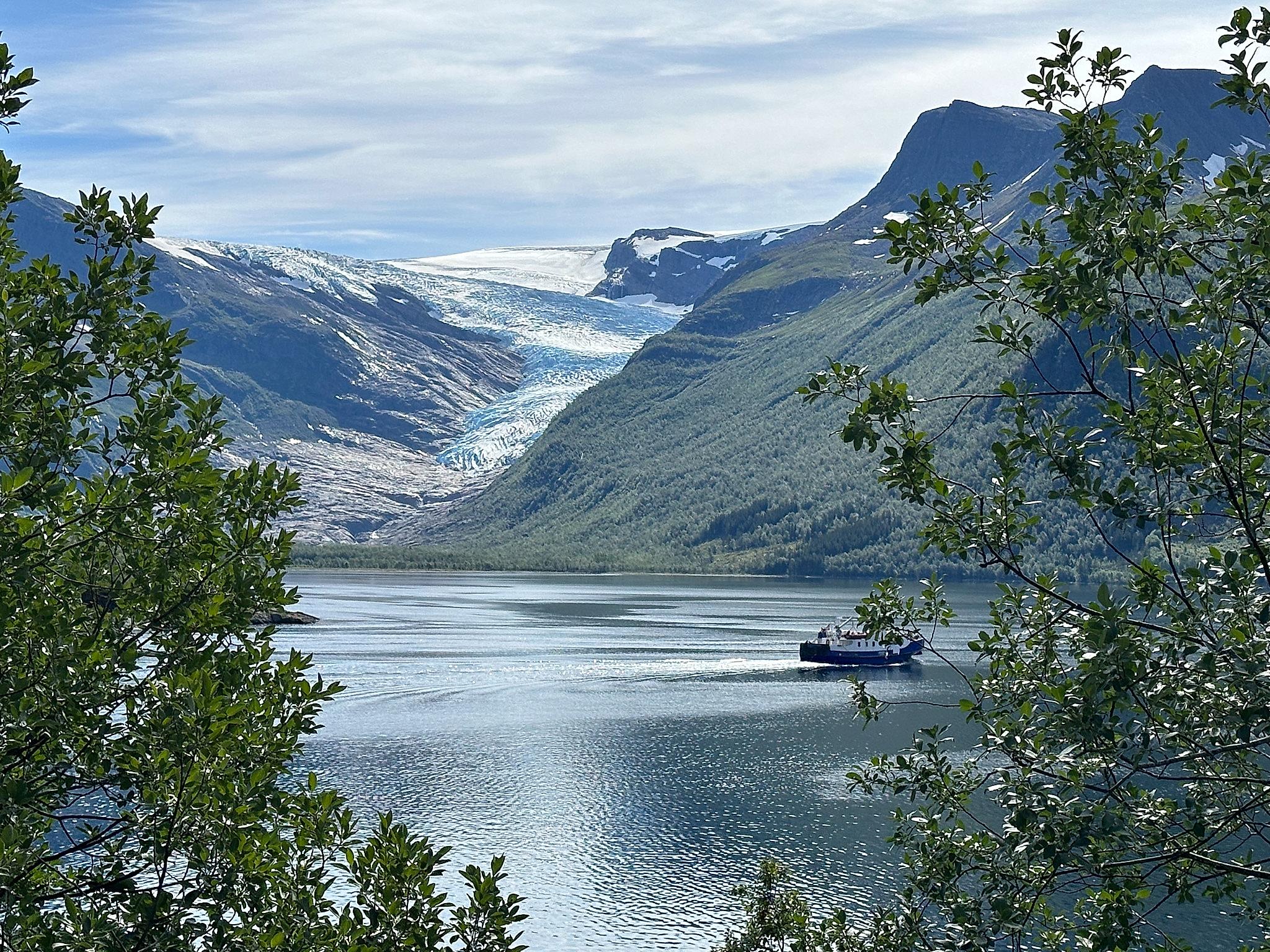 Svartisen isbre