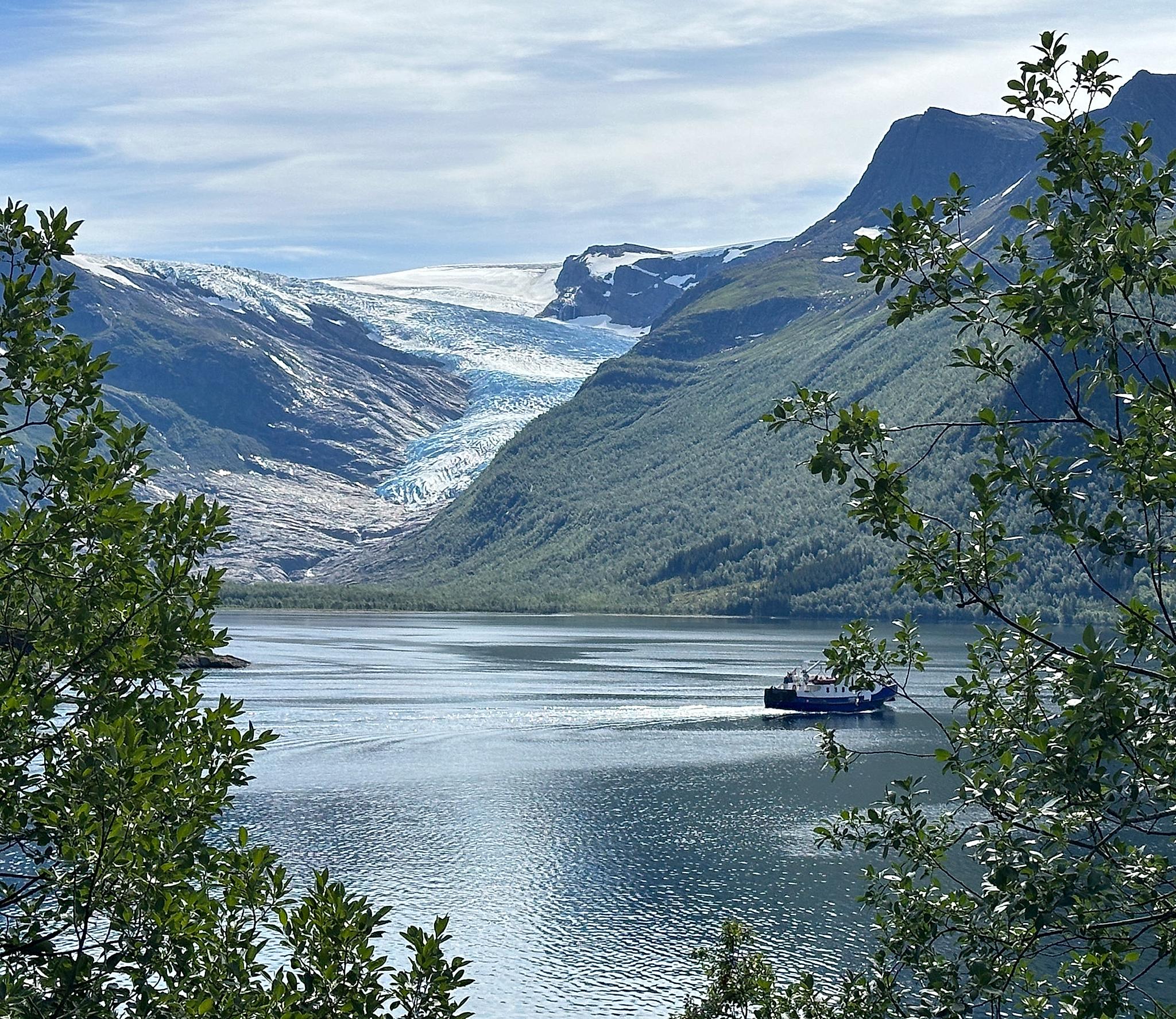 Svartisen isbre