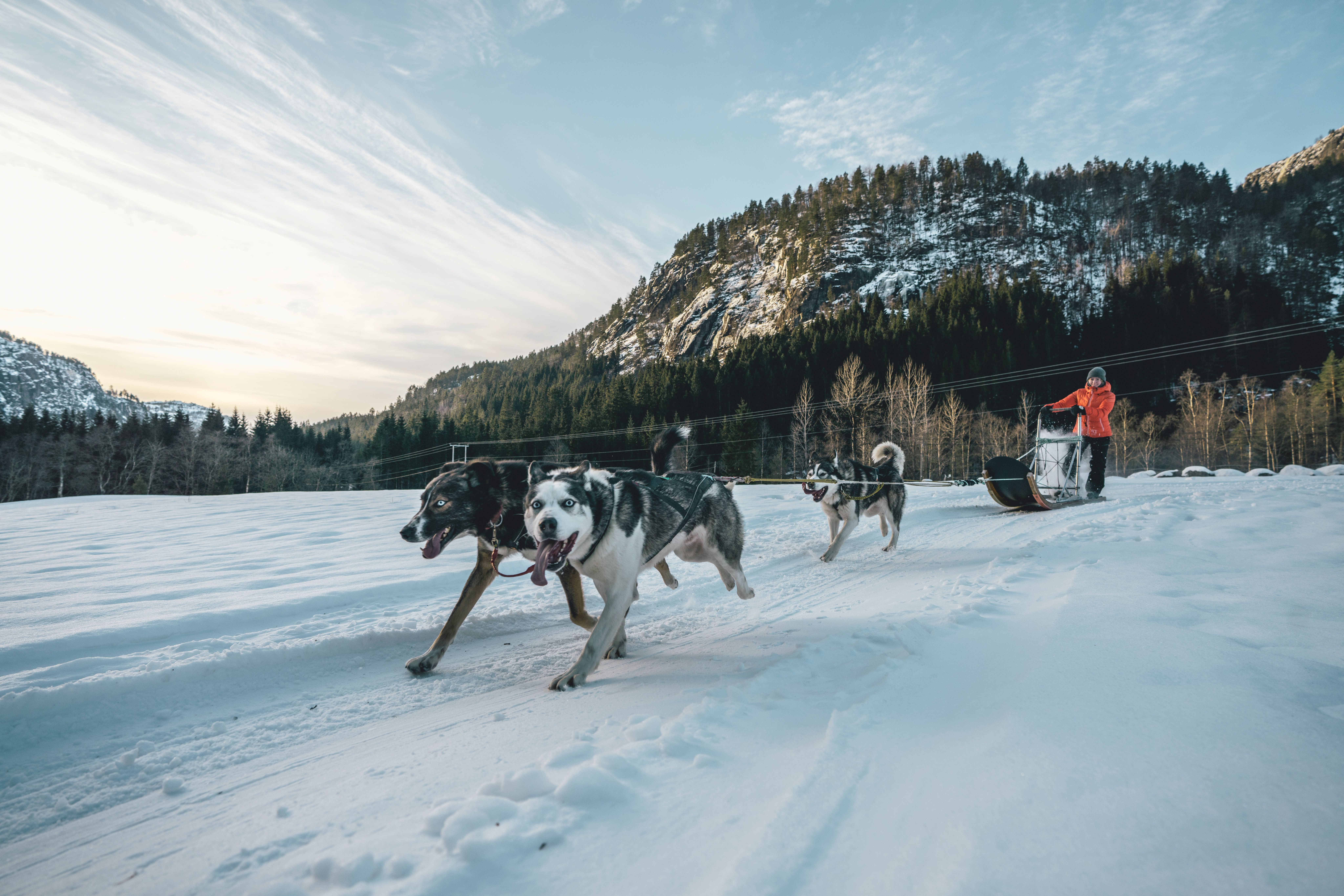 Husky tour in Sirdal