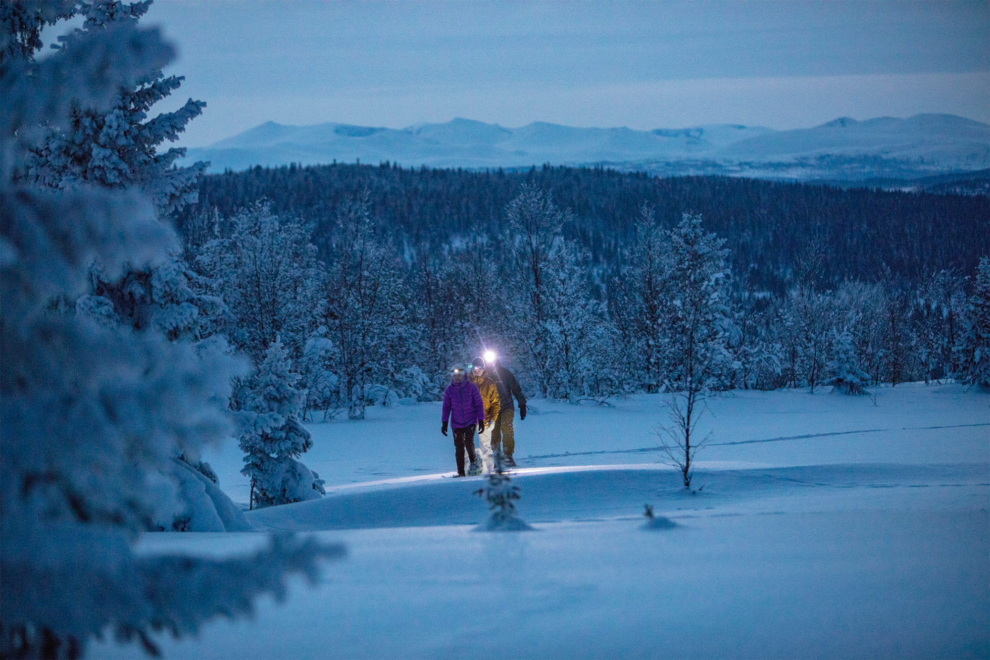 Trugetur på Gålå i Gudbrandsdalen på Østlandet