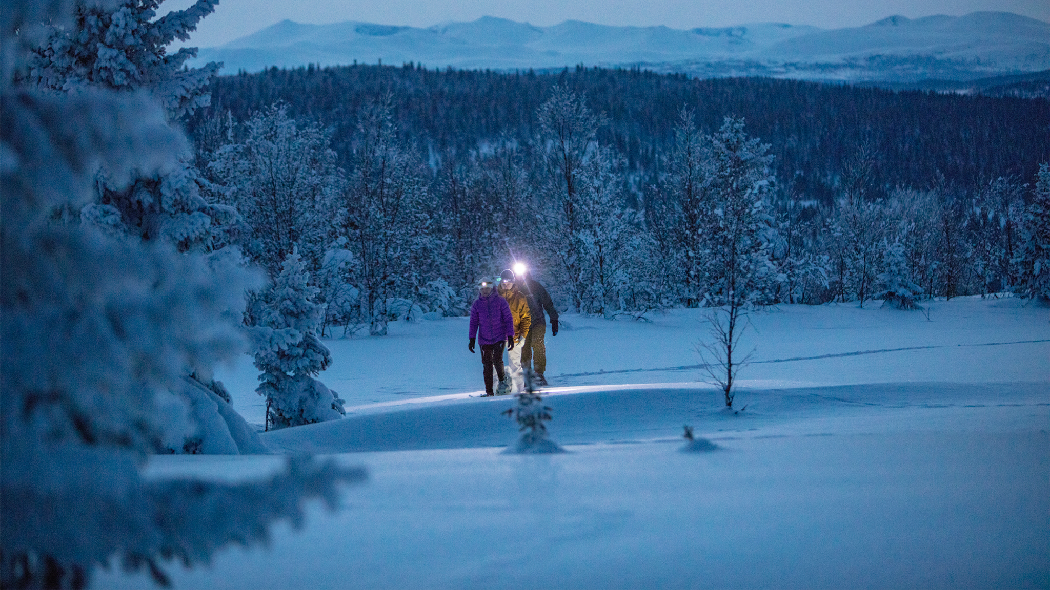 Trugetur på Gålå i Gudbrandsdalen på Østlandet