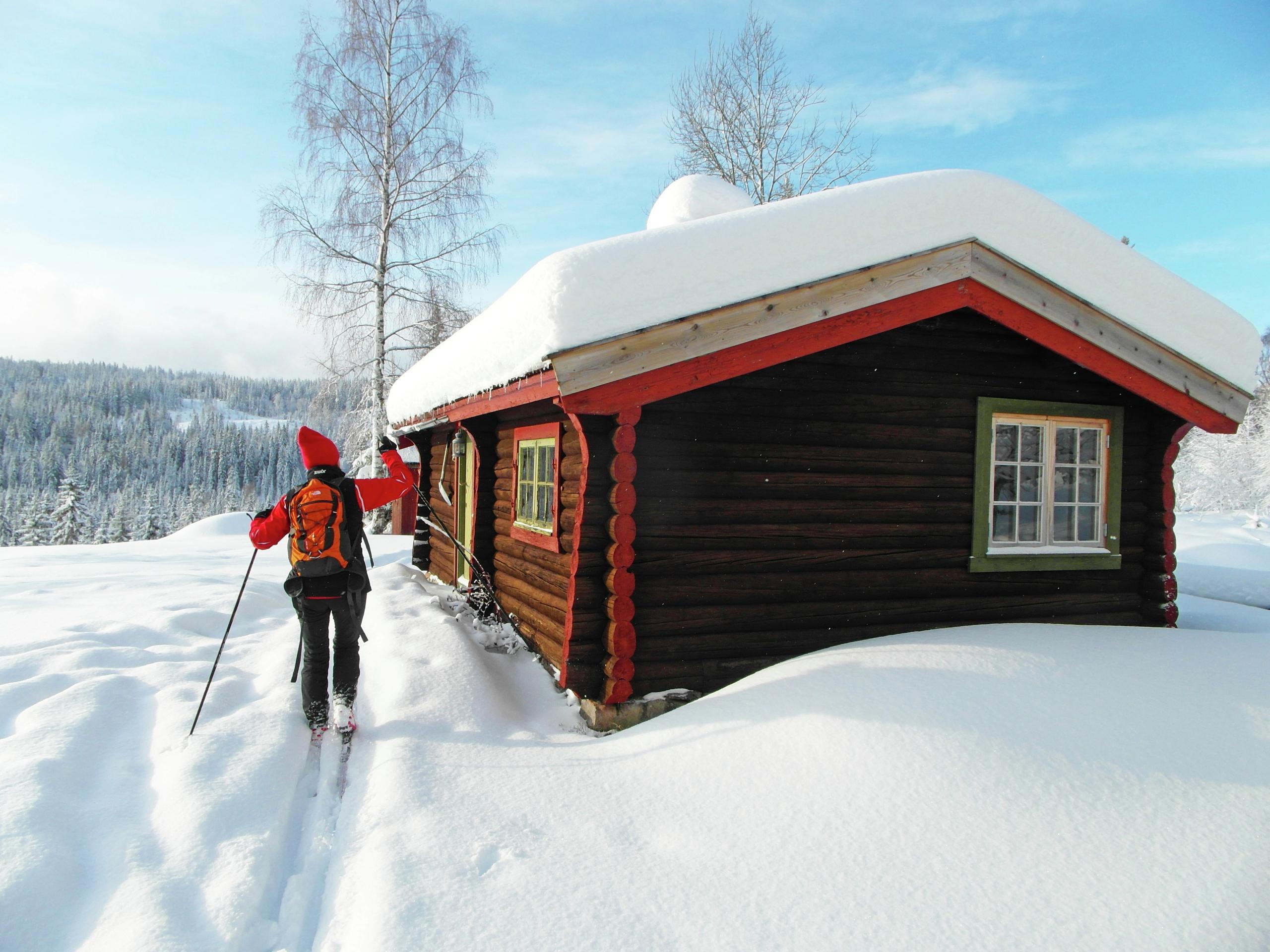 Skiing in the wild