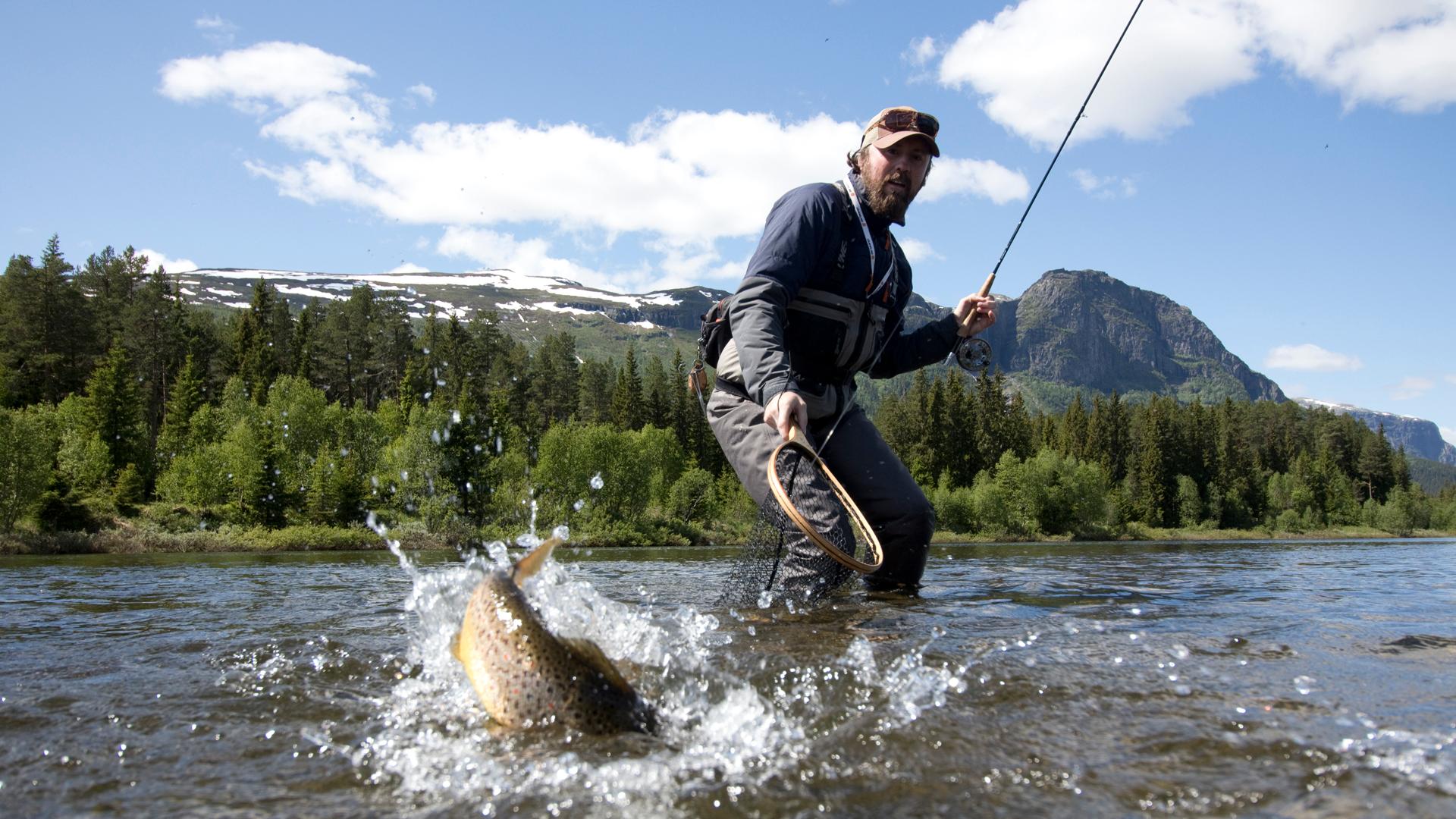 Ein Mann fängt einen Fisch aus einem Fluss in Hemsedal, Ostnorwegen