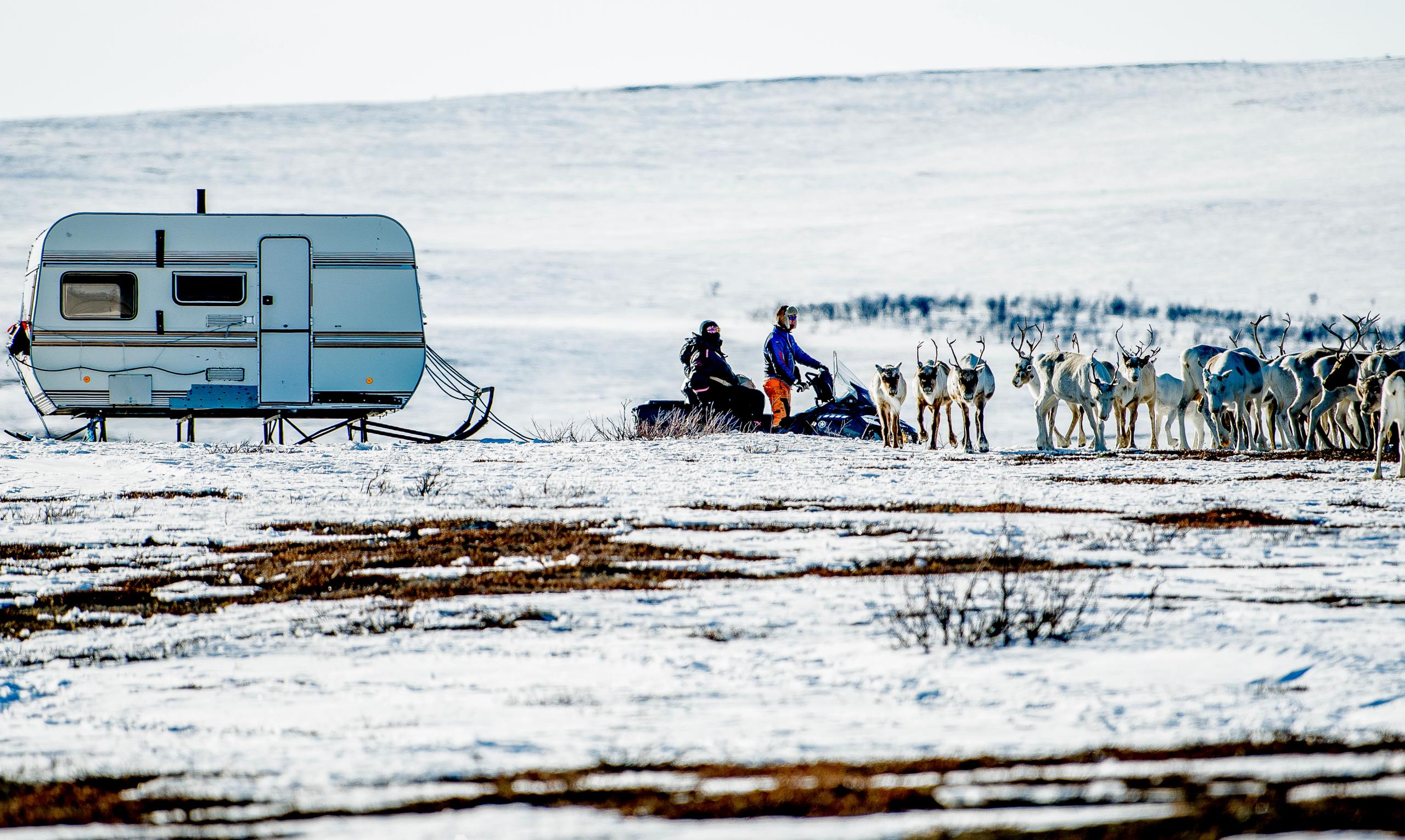 Finnmarksvidda