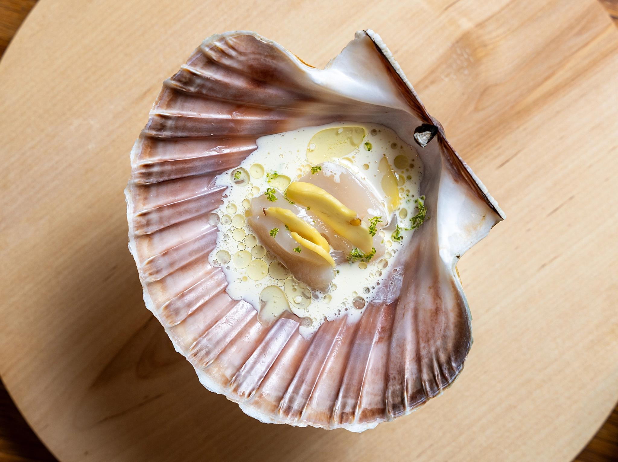 Scallop and chestnut served at the Credo restaurant at The National Library in Oslo