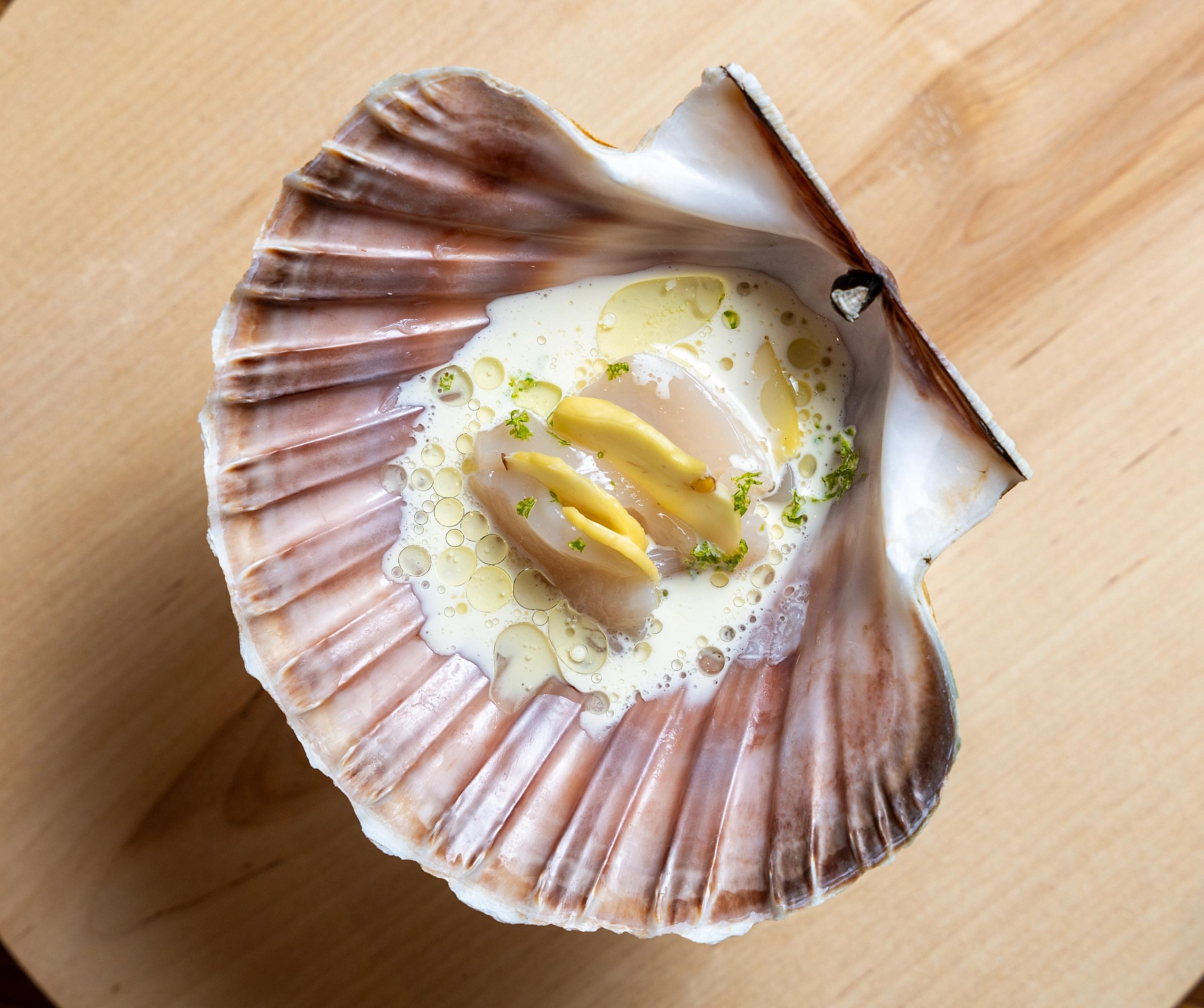 Scallop and chestnut served at the Credo restaurant at The National Library in Oslo