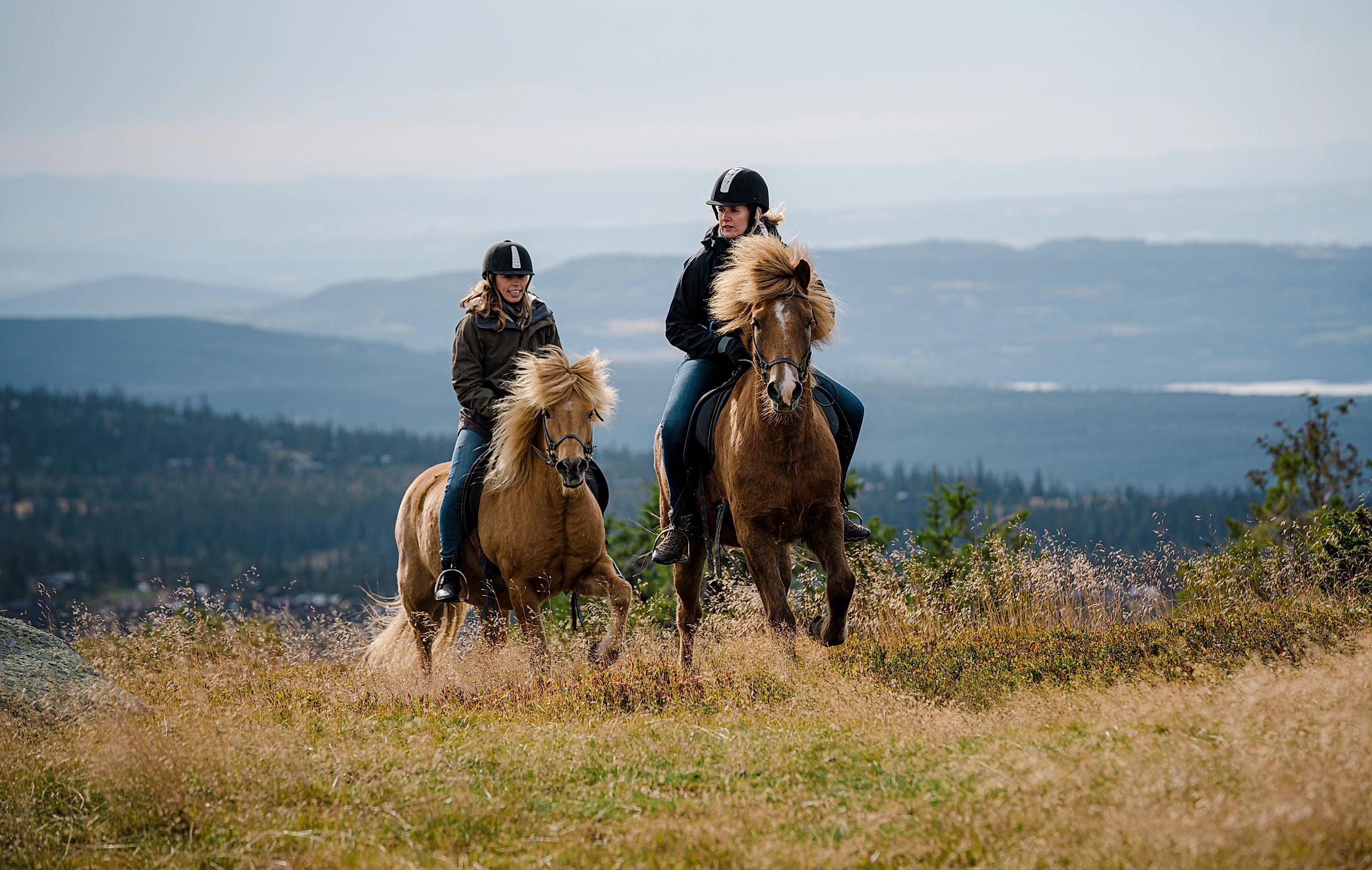 Two women are having fun horseback riding in the Oslo region, Eastern Norway