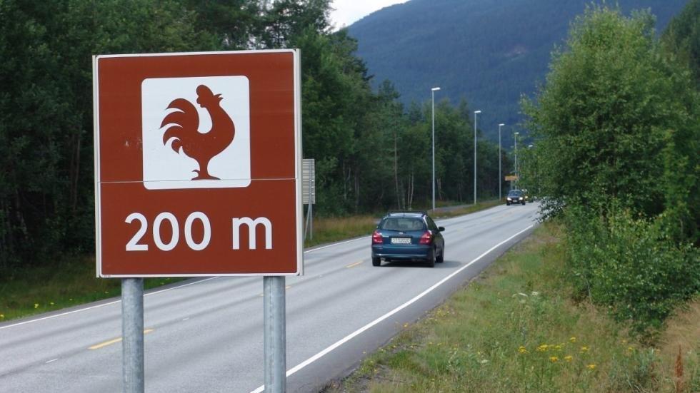 A chicken sign called "Hanen".
