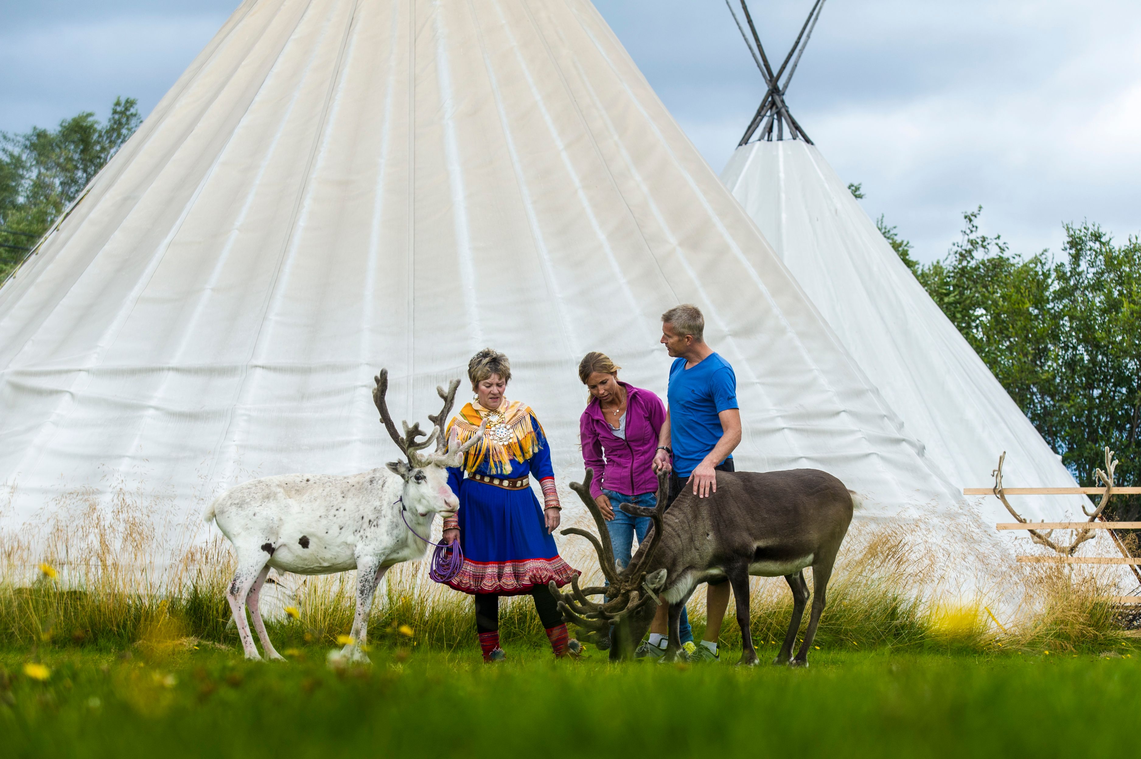 To turister hilser på reinsdyr utenfor et samisk telt i Alta, Nord-Norge