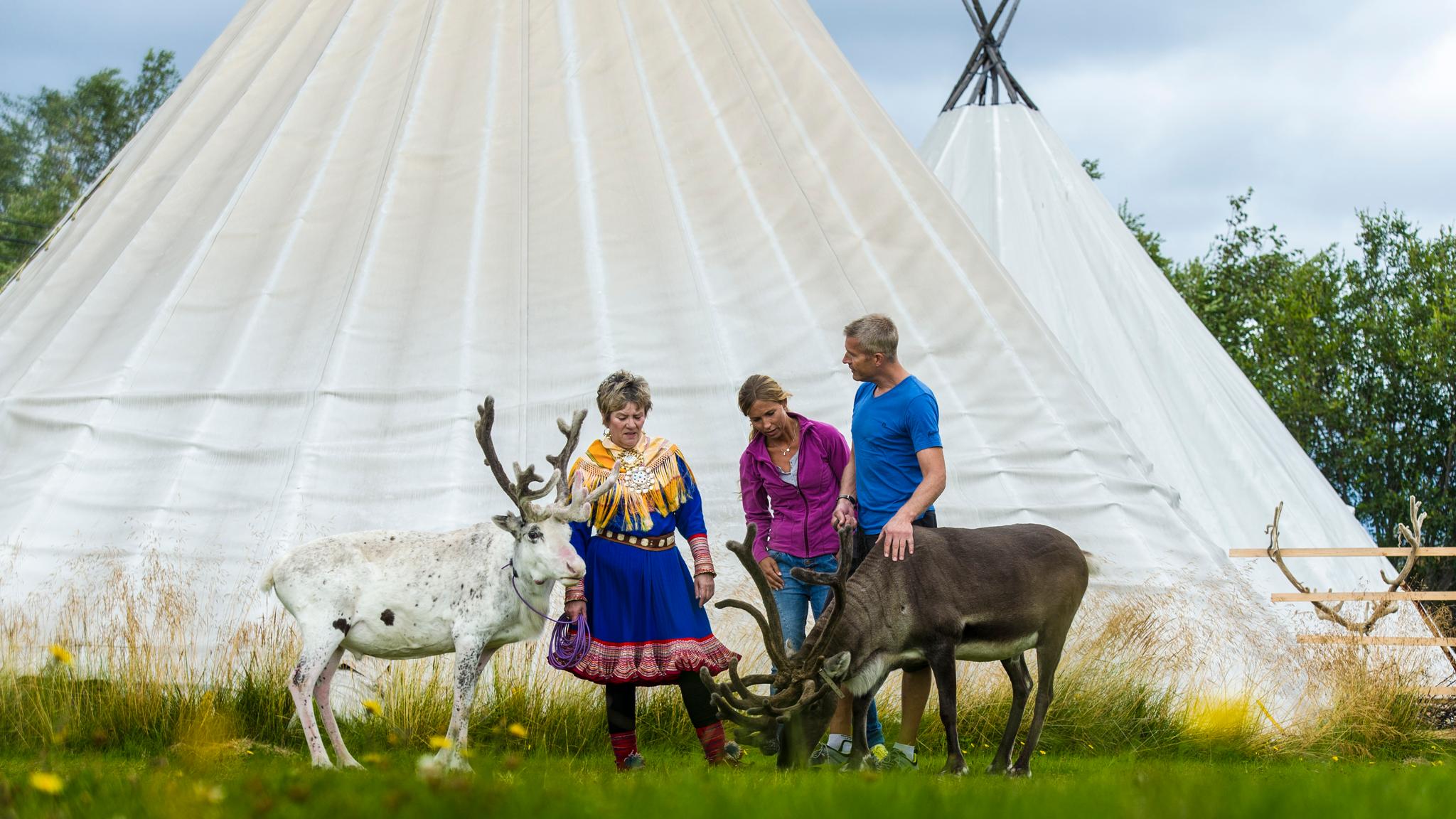 To turister hilser på reinsdyr utenfor et samisk telt i Alta, Nord-Norge