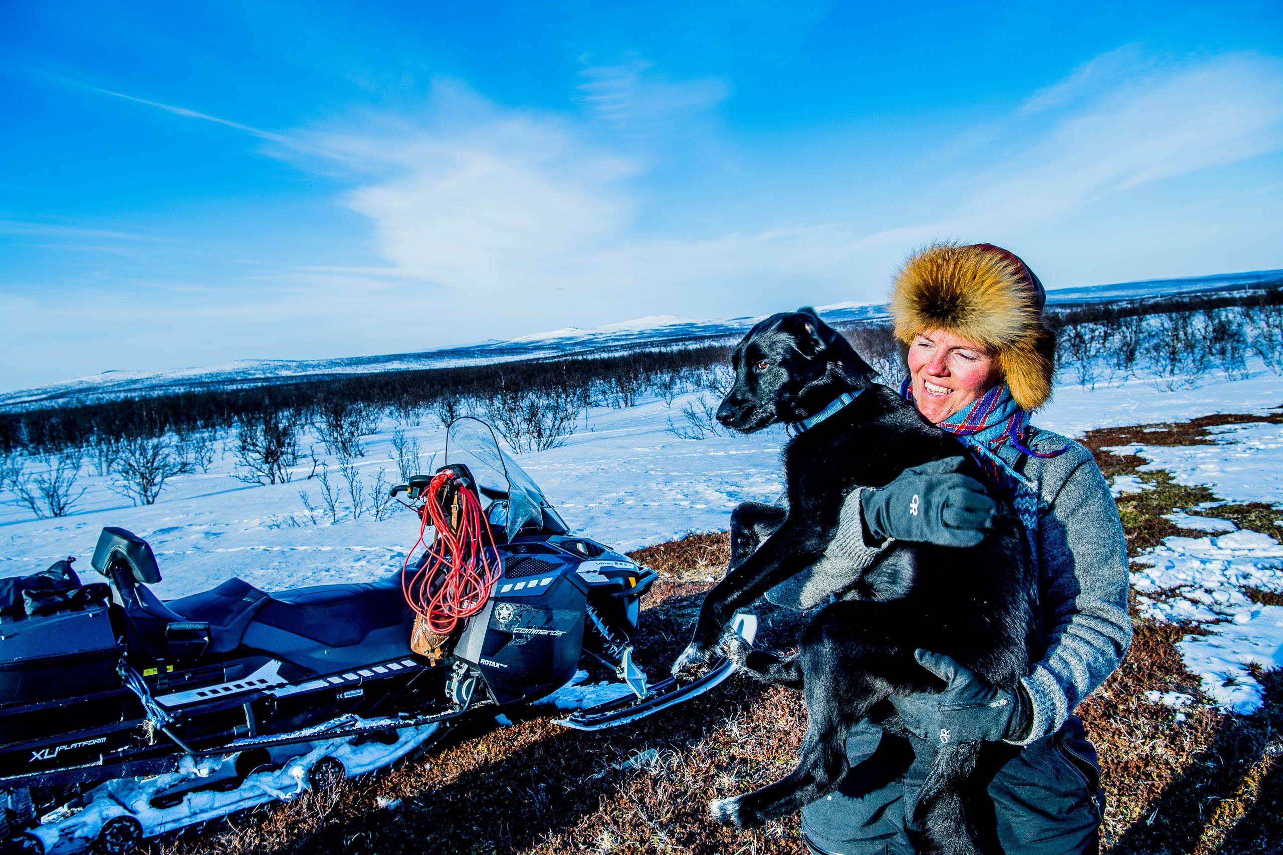 Finnmarksvidda