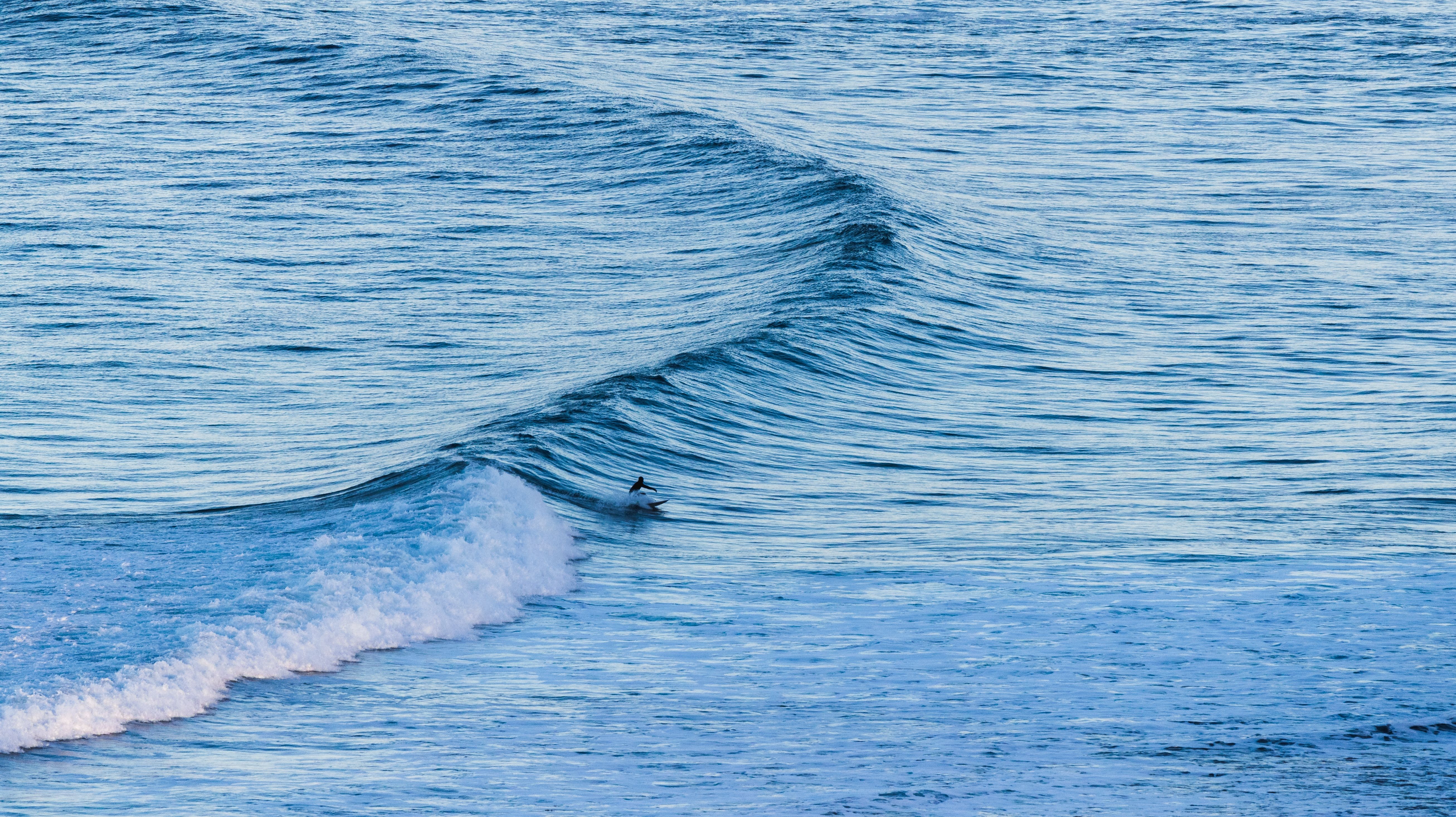 A surfer riding a wave on Lofoten islands in Northern Norway