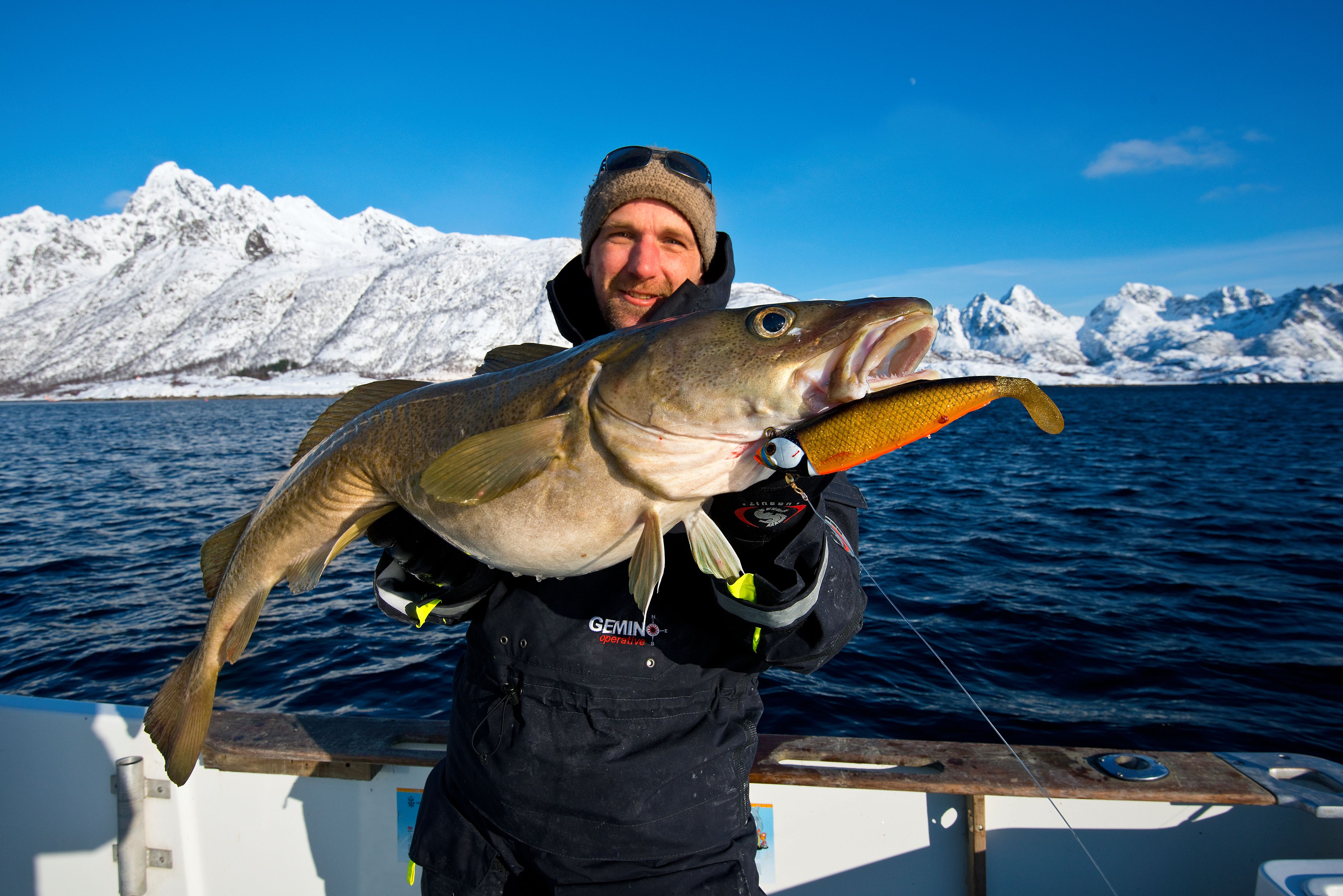 A man holding a newly caught cod in Lofoten in Northern Norway
