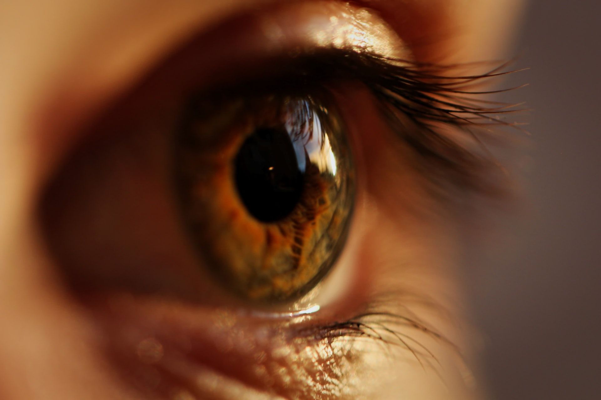 Close up of an eye