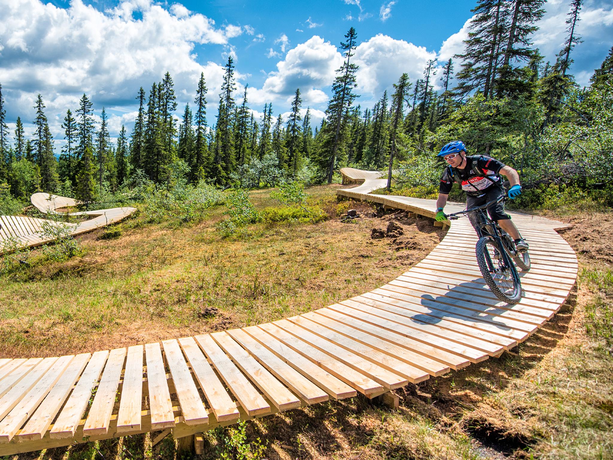 Mensen aan het mountainbiken over de Magic Moose in de Trysil bike arena, Oost-Noorwegen