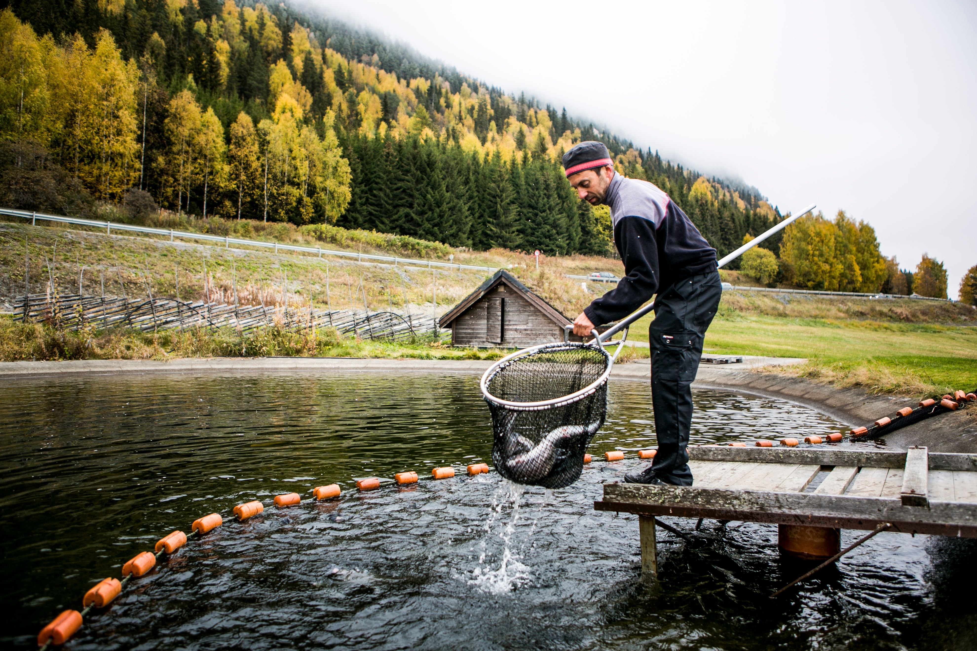 En mann står ved en fiskedam.