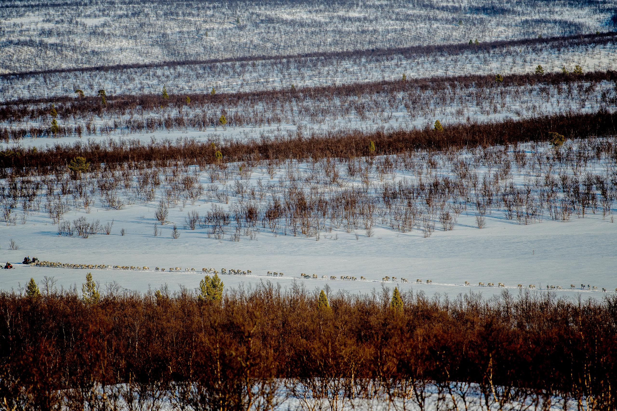 Finnmarksvidda