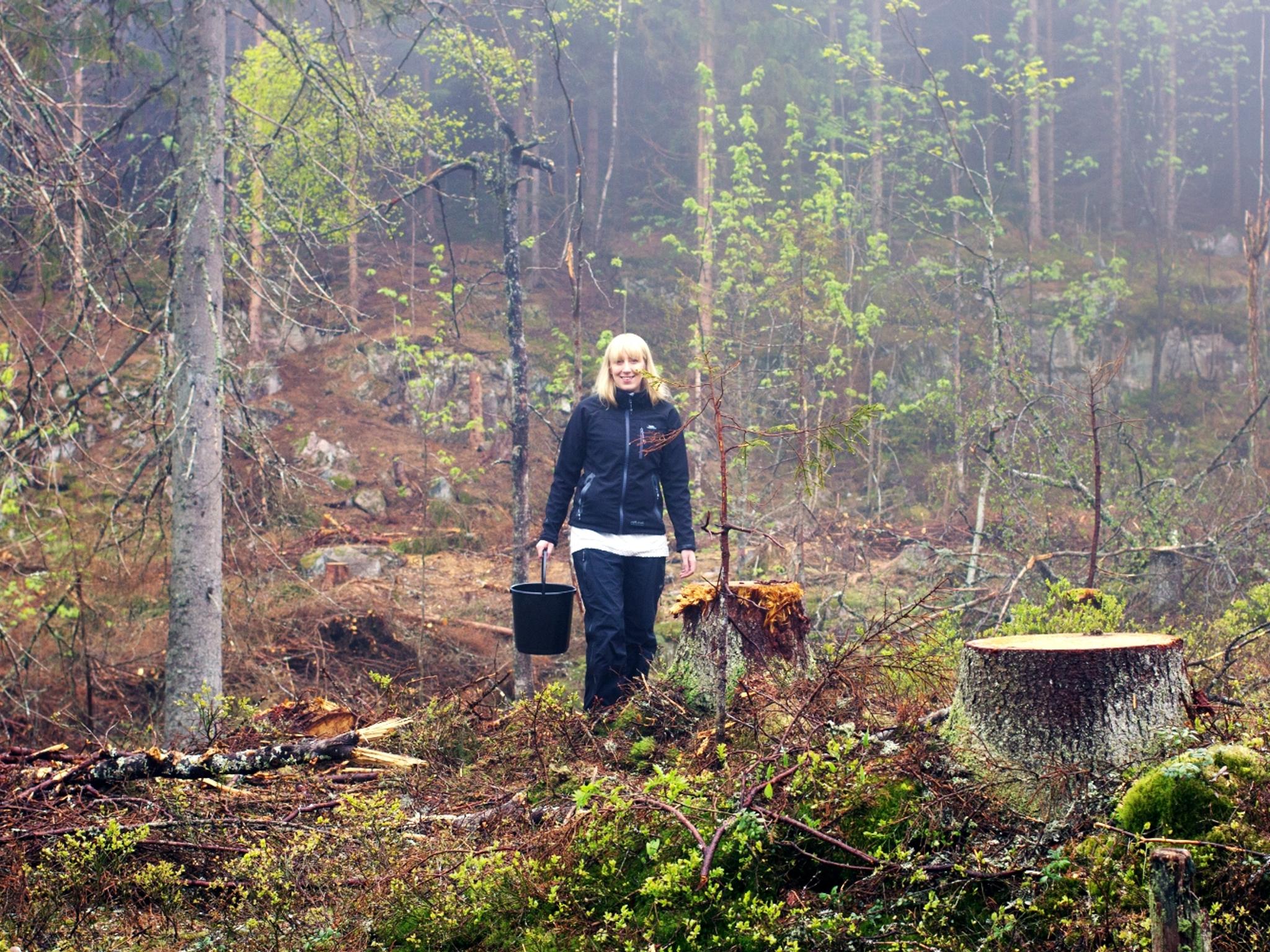 Den skotske kunstneren Katie Paterson i Framtidsbibliotek-skogen i Nordmarka i Oslo