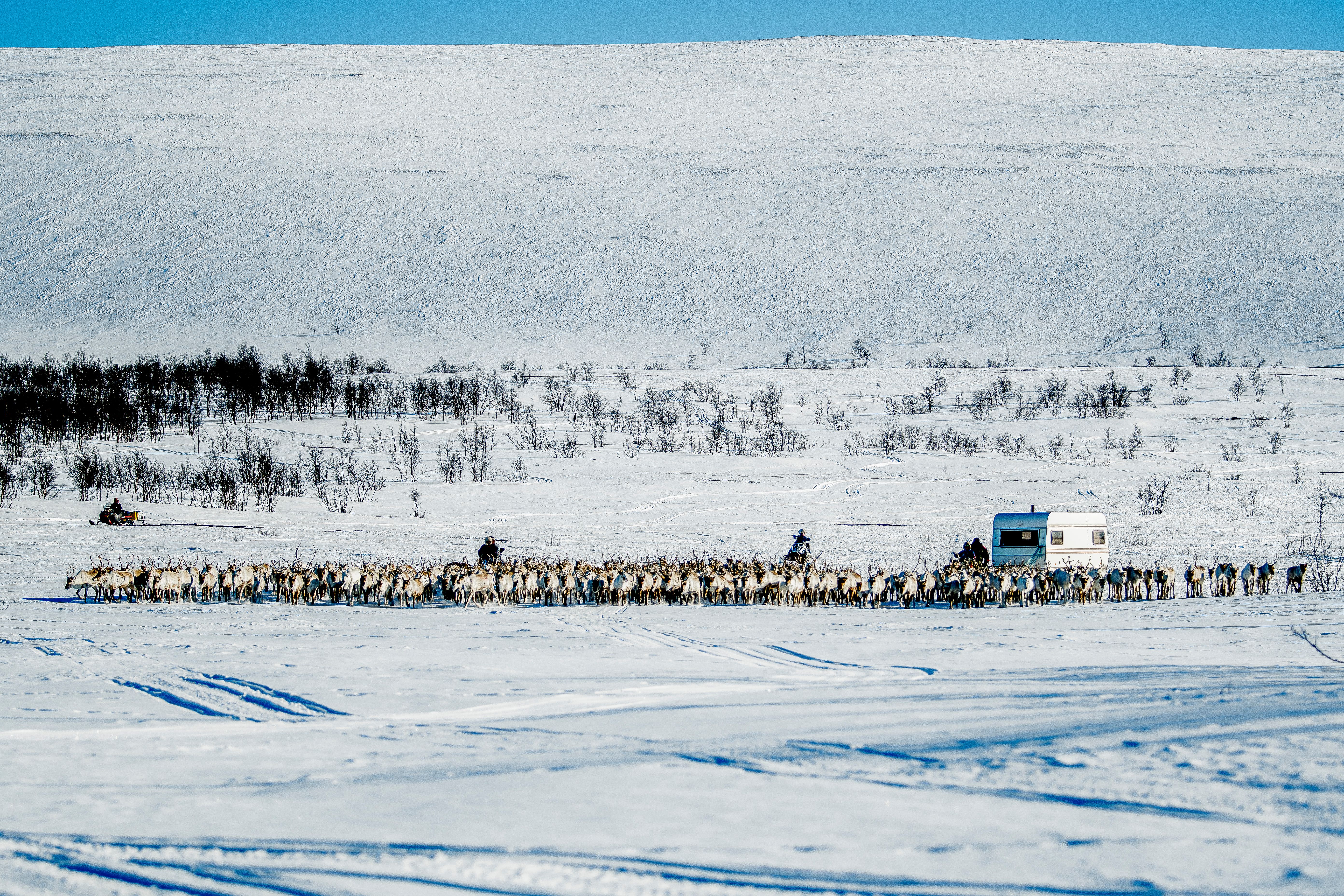 Finnmarksvidda