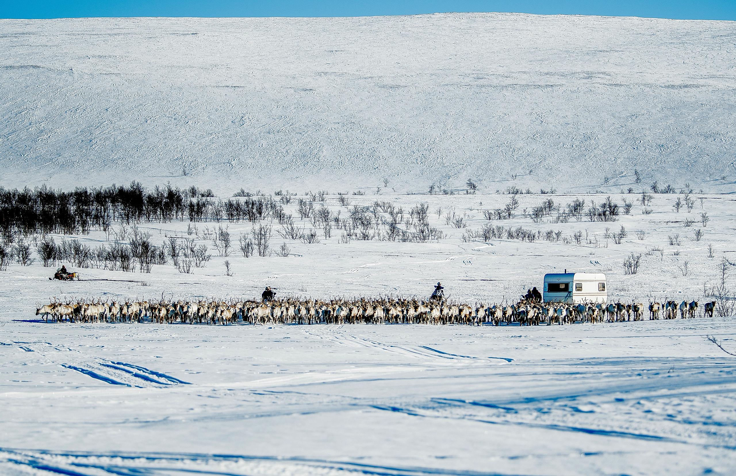 Finnmarksvidda