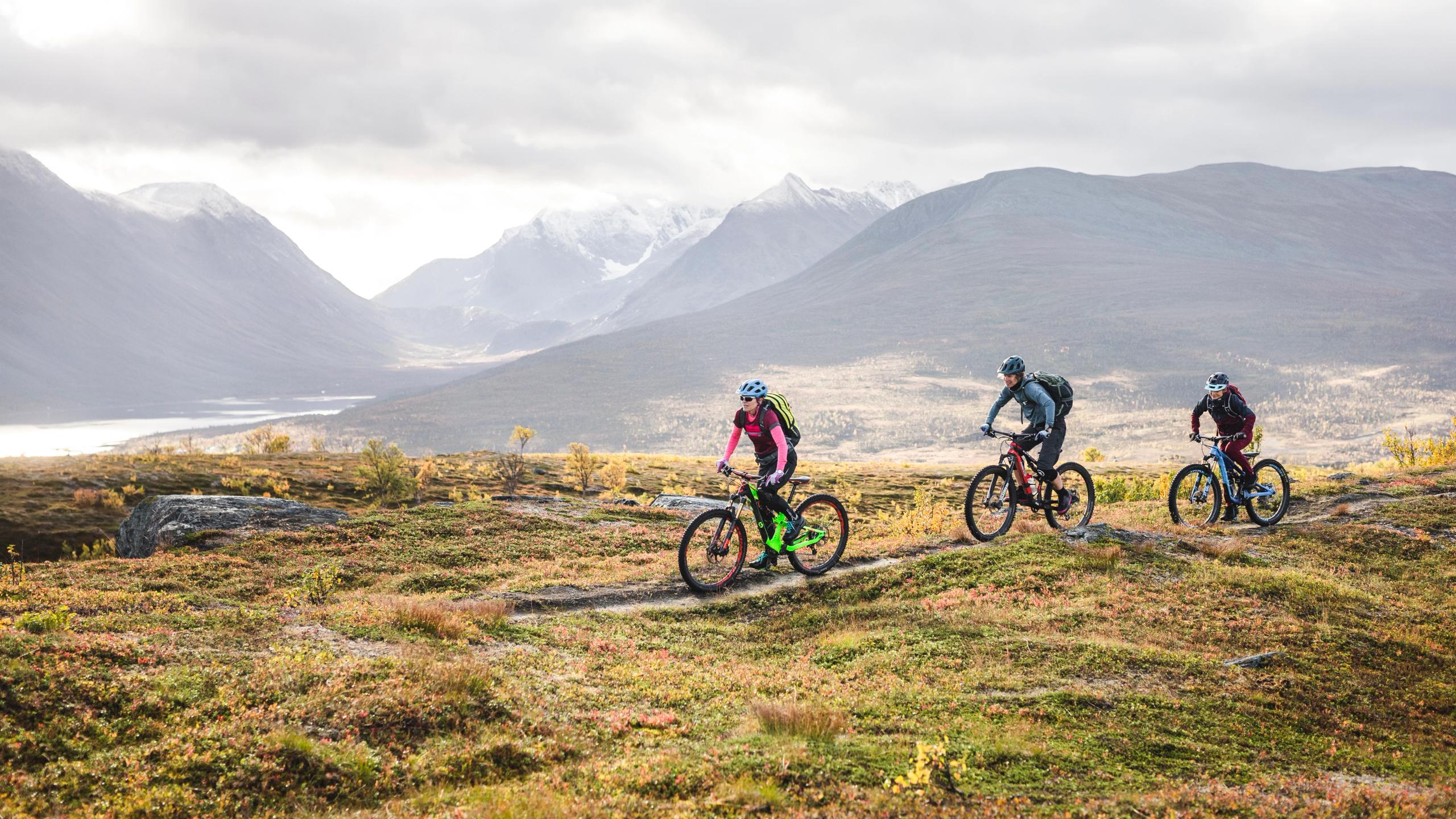 Tre personer sykler i Lyngenfjord
