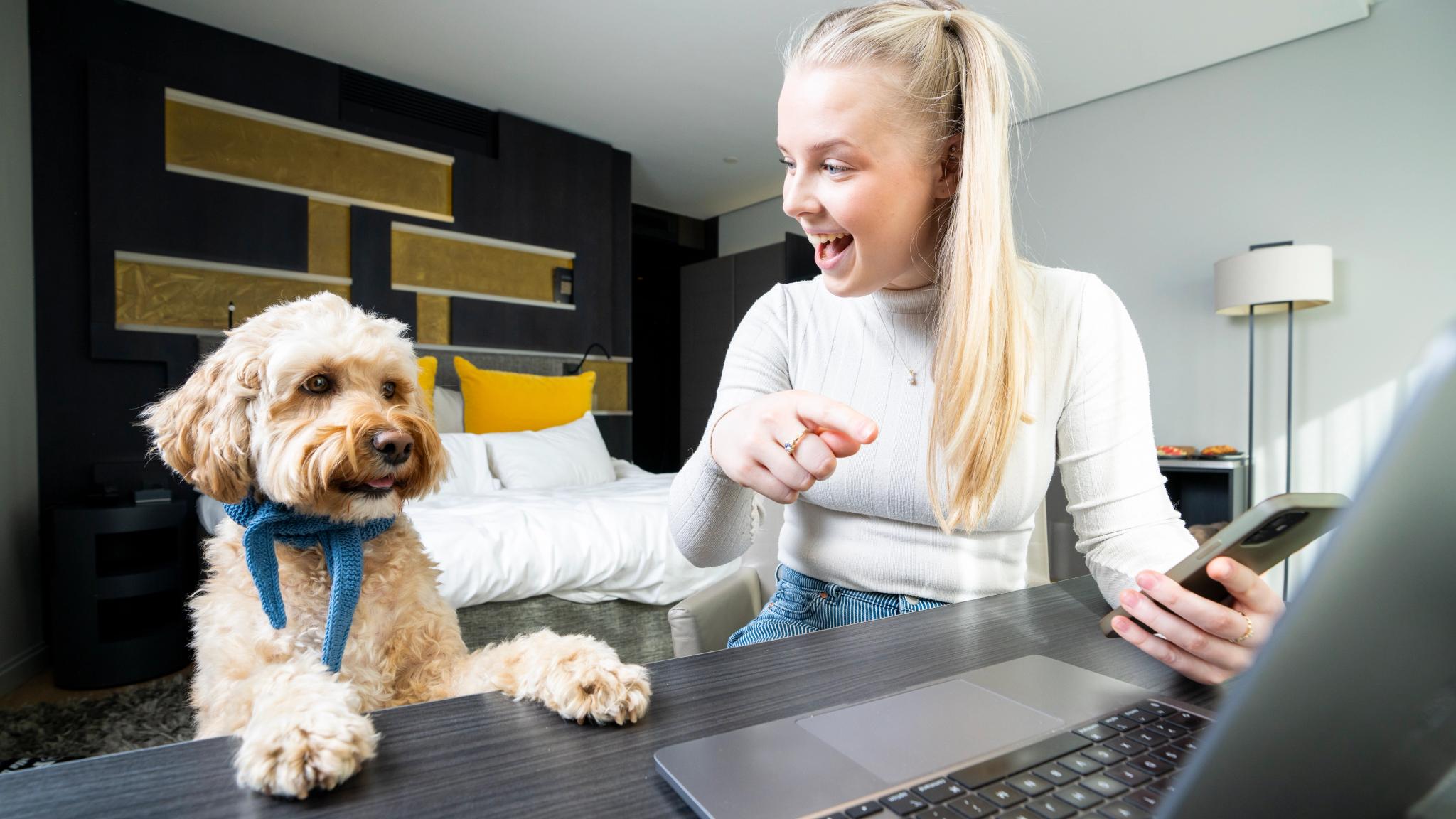 Dog and woman planning their trip on a dog room at The Thief in Oslo, Eastern Norway
