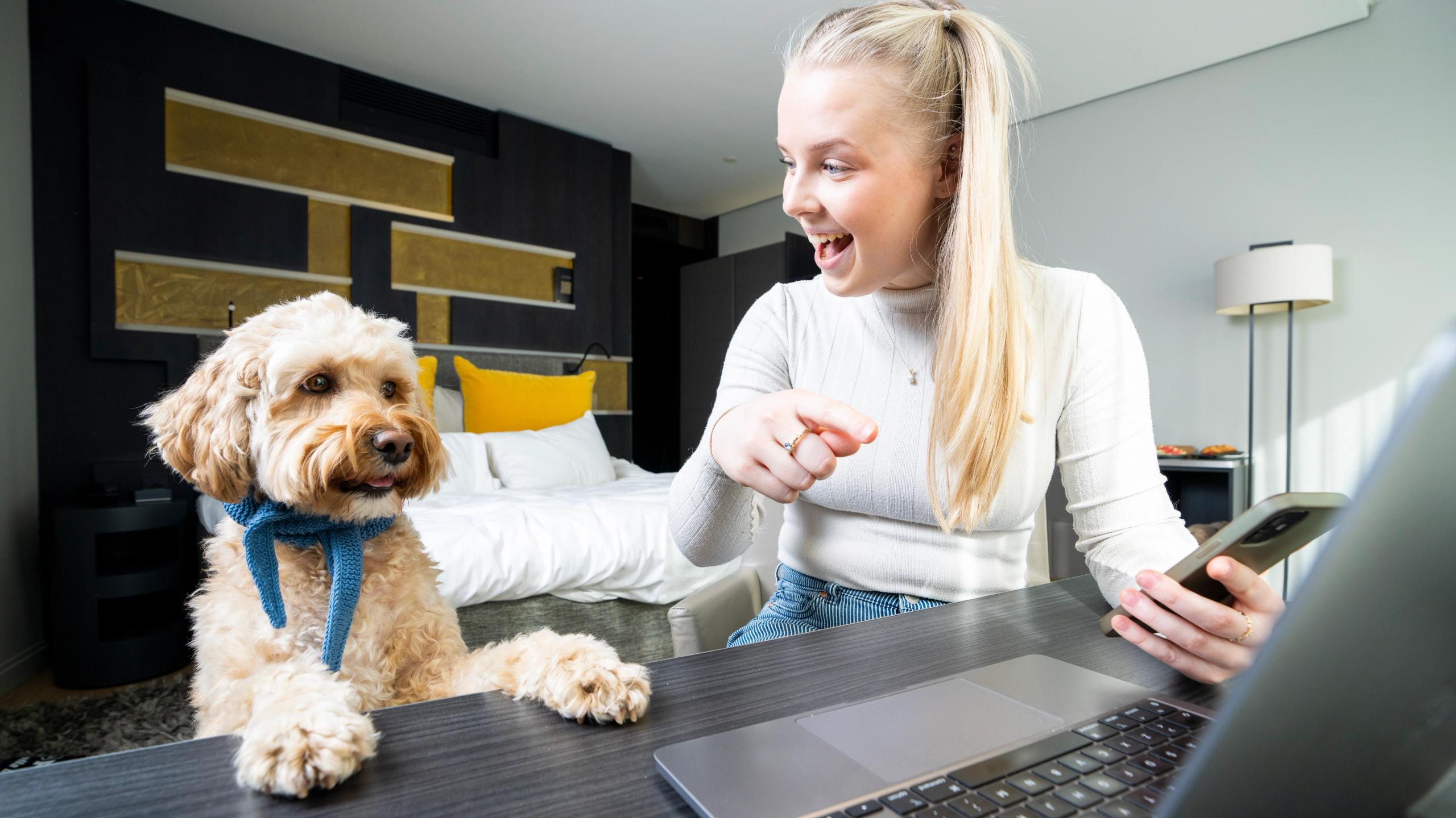 Dog and woman planning their trip on a dog room at The Thief in Oslo, Eastern Norway