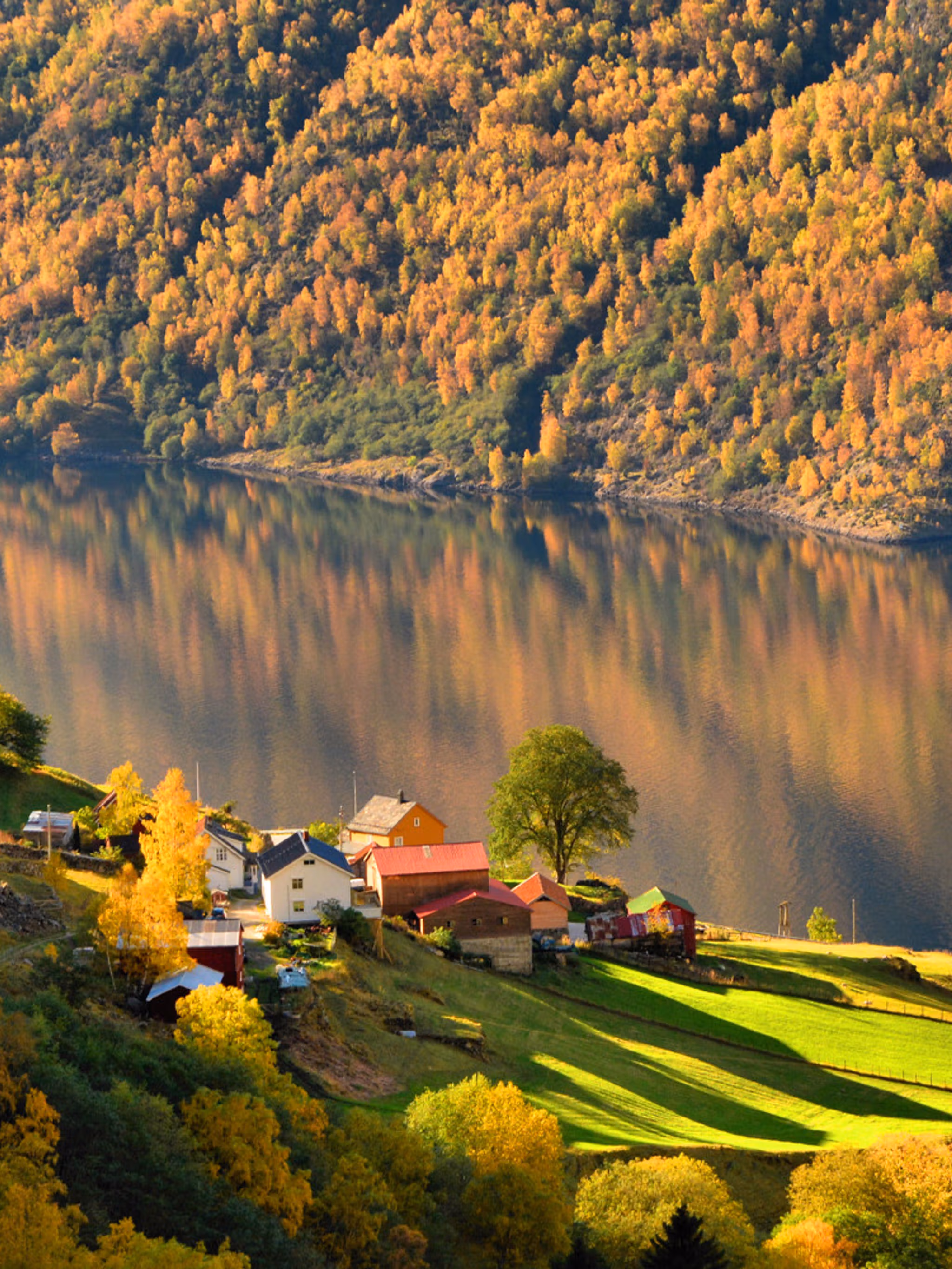 Una meravigliosa esperienza autunnale sull’Aurlandsfjord - il paesaggio dei fiordi nei colori autunnali