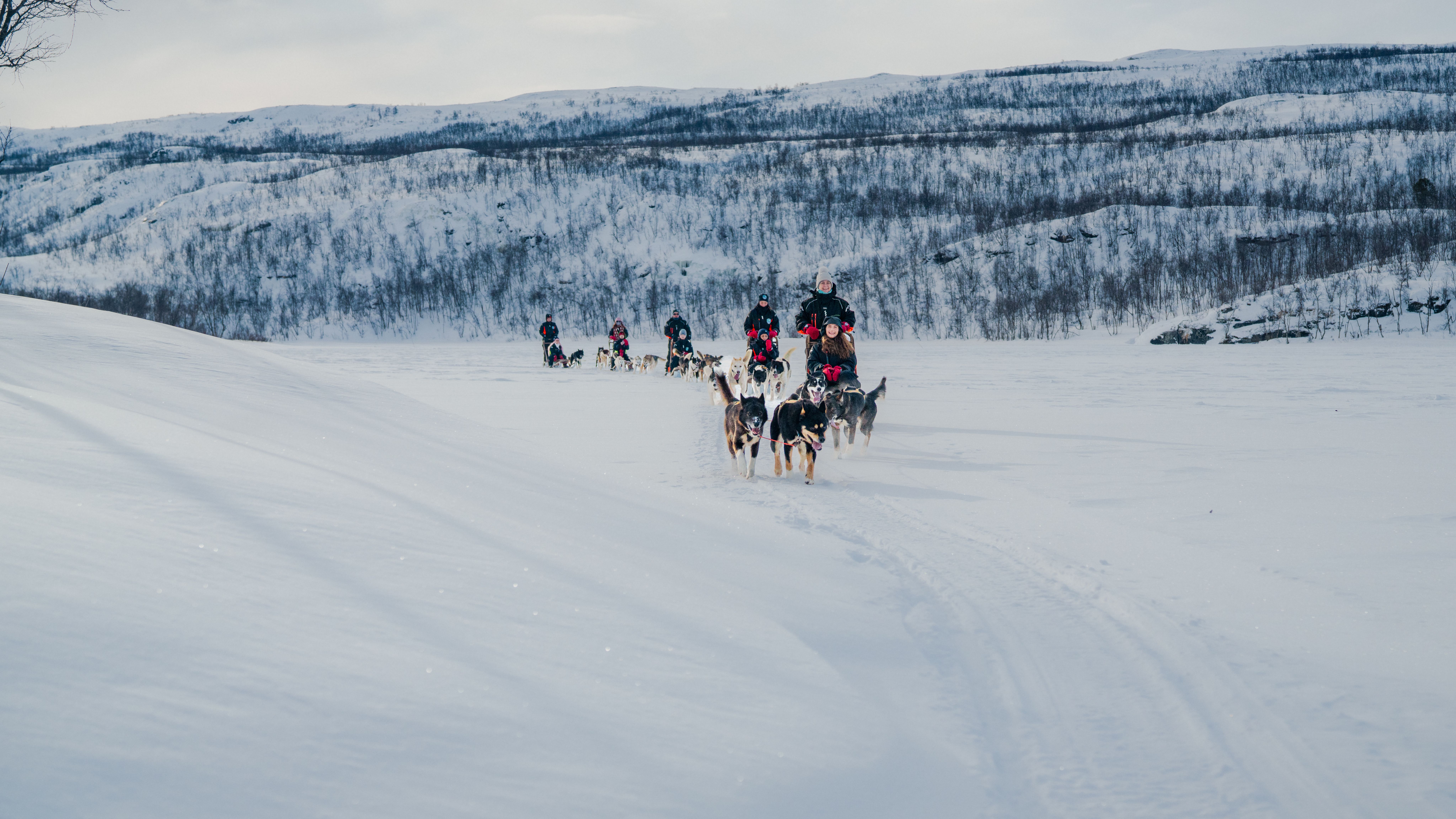 People dog sledding in Lyngen, Northern Norway.