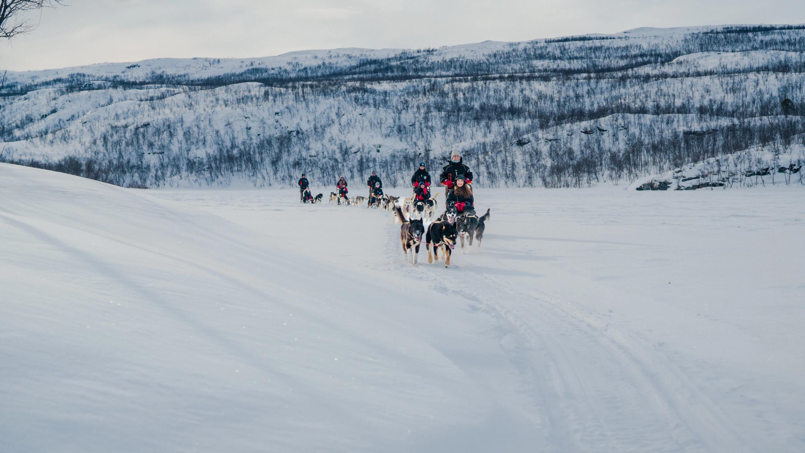People dog sledding in Lyngen, Northern Norway.