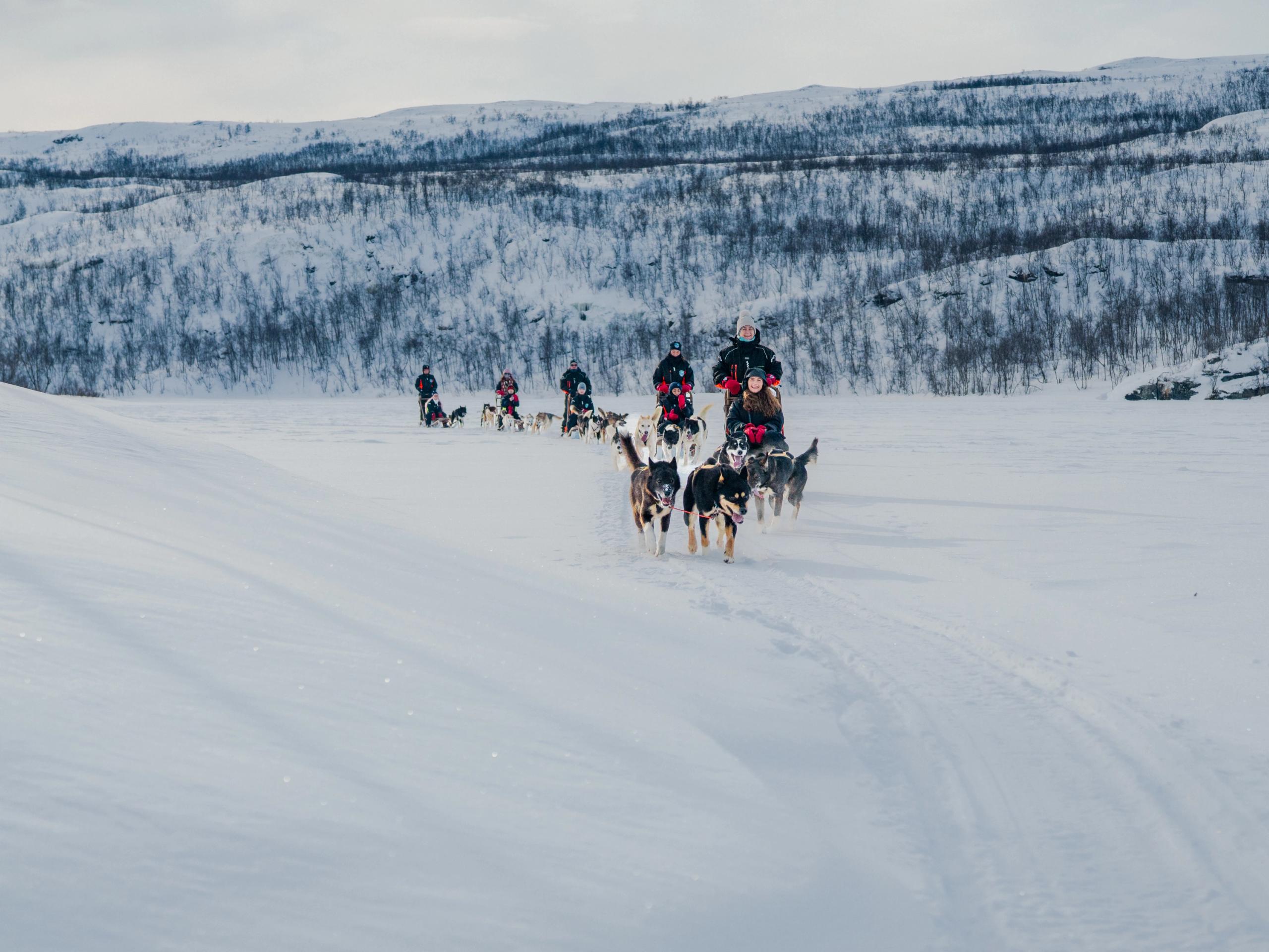 People dog sledding in Lyngen, Northern Norway.