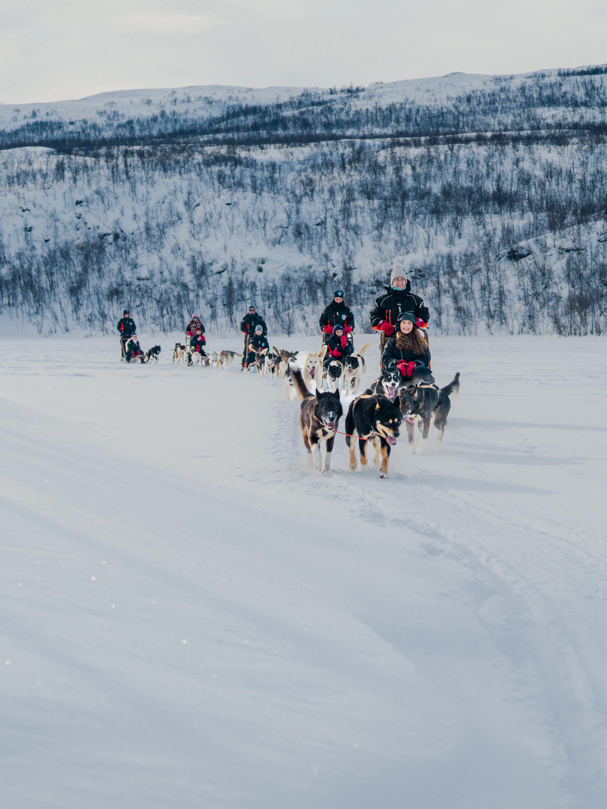 People dog sledding in Lyngen, Northern Norway.