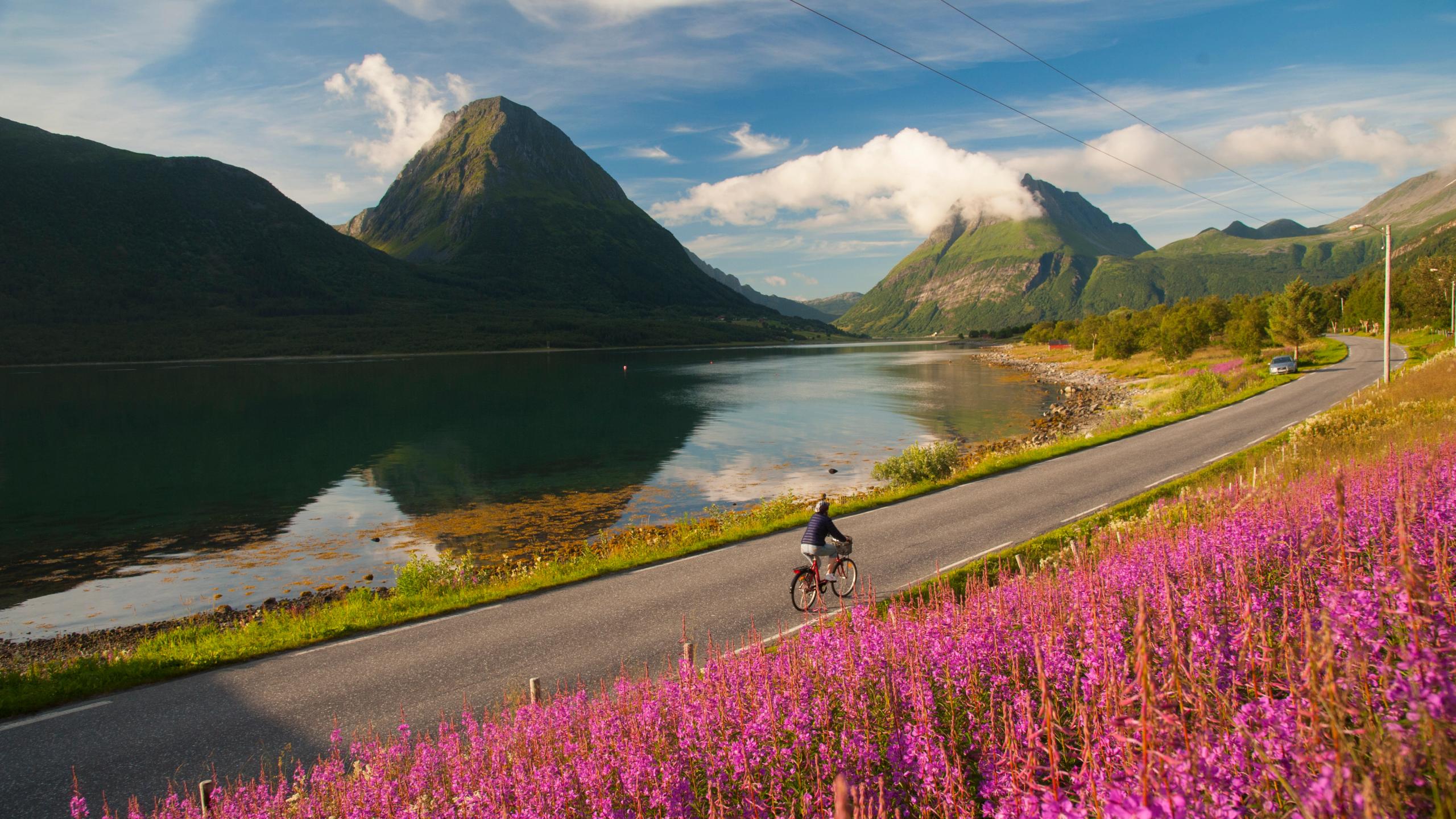 En kvinne sykler på Lurøy, Aldersund