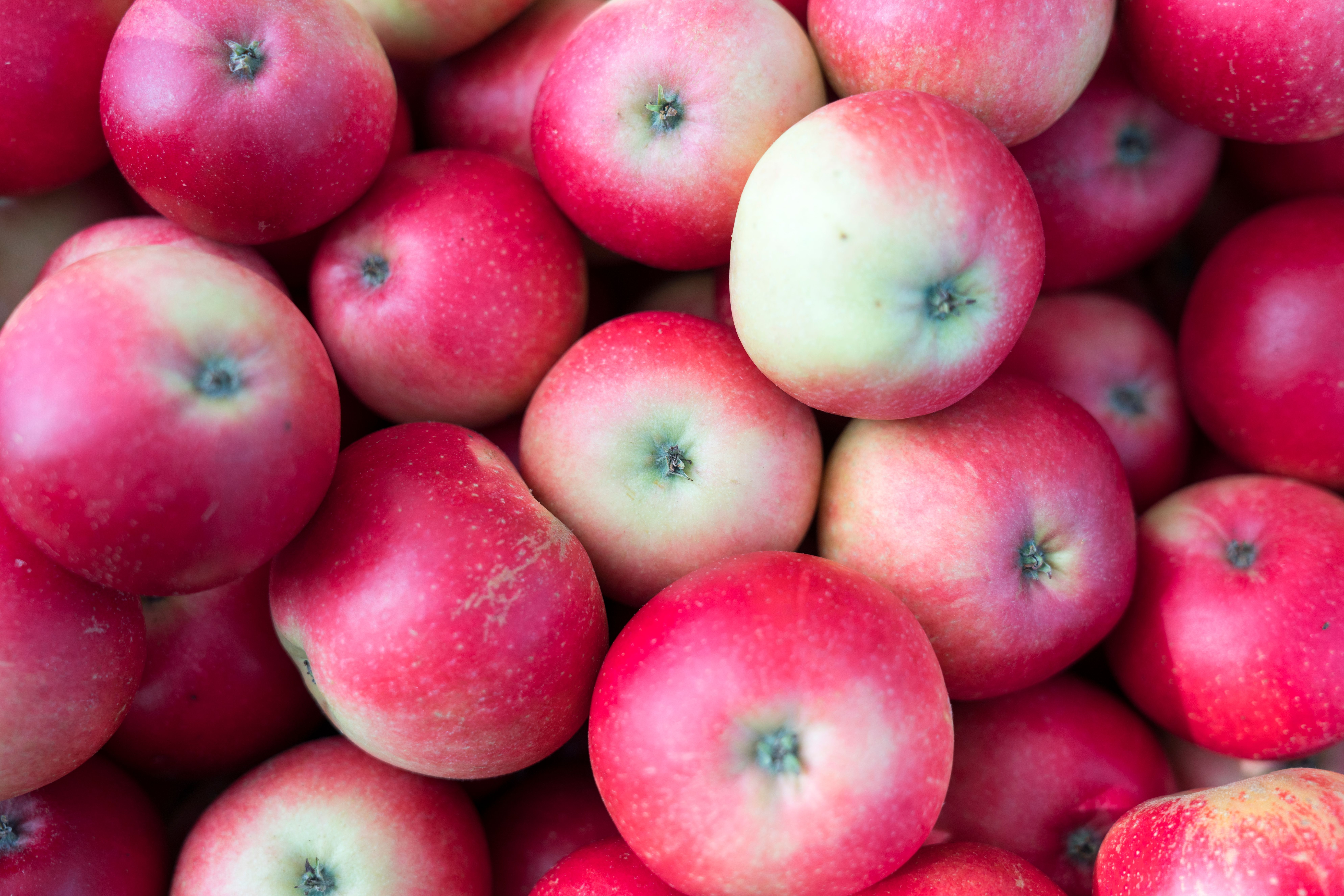 A bunch of apples