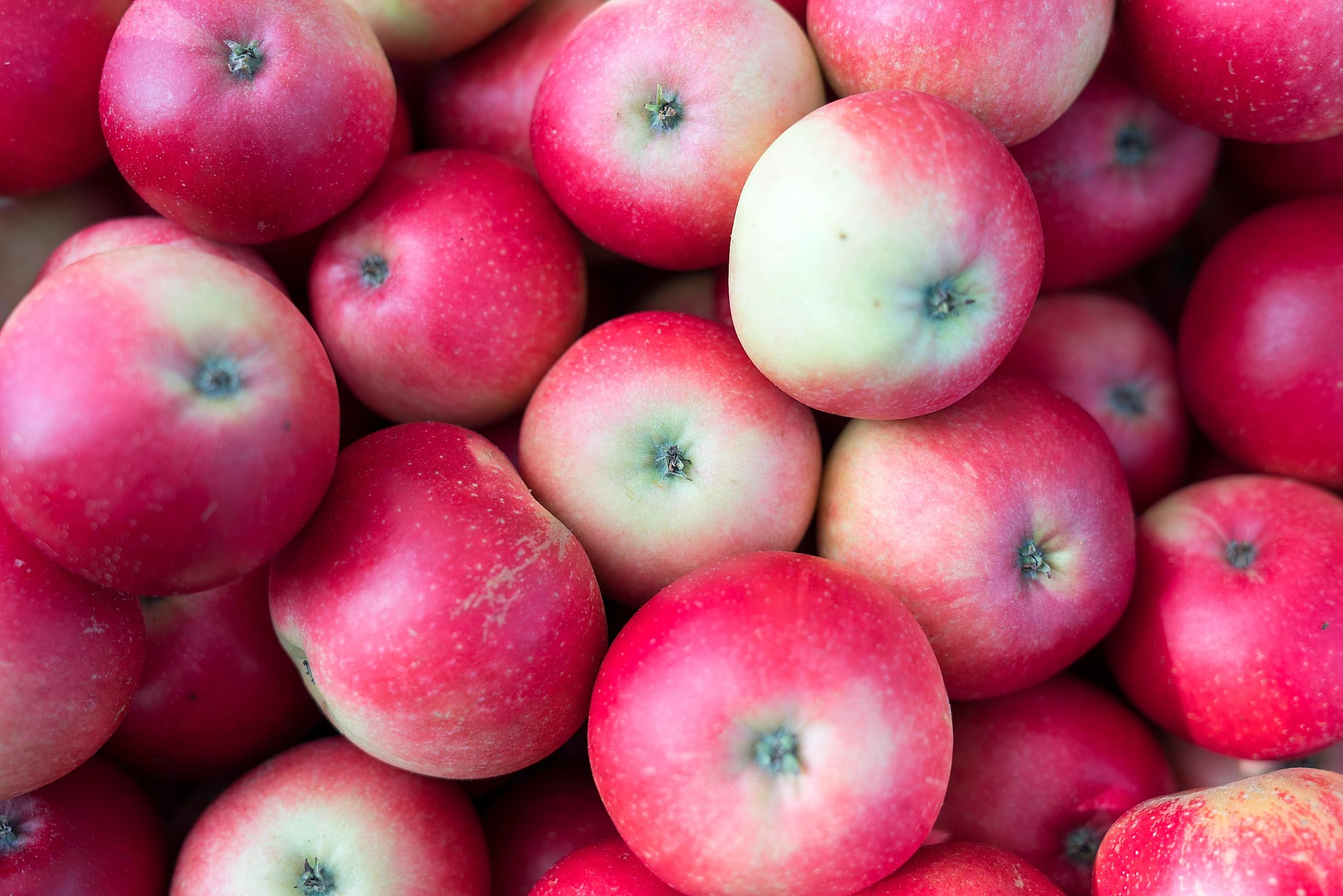 A bunch of apples