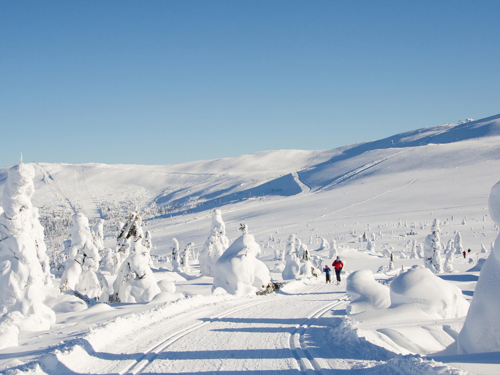 A mother and her child enjoy cross country skiing in the winter wonderland of Trysil, Eastern Norway