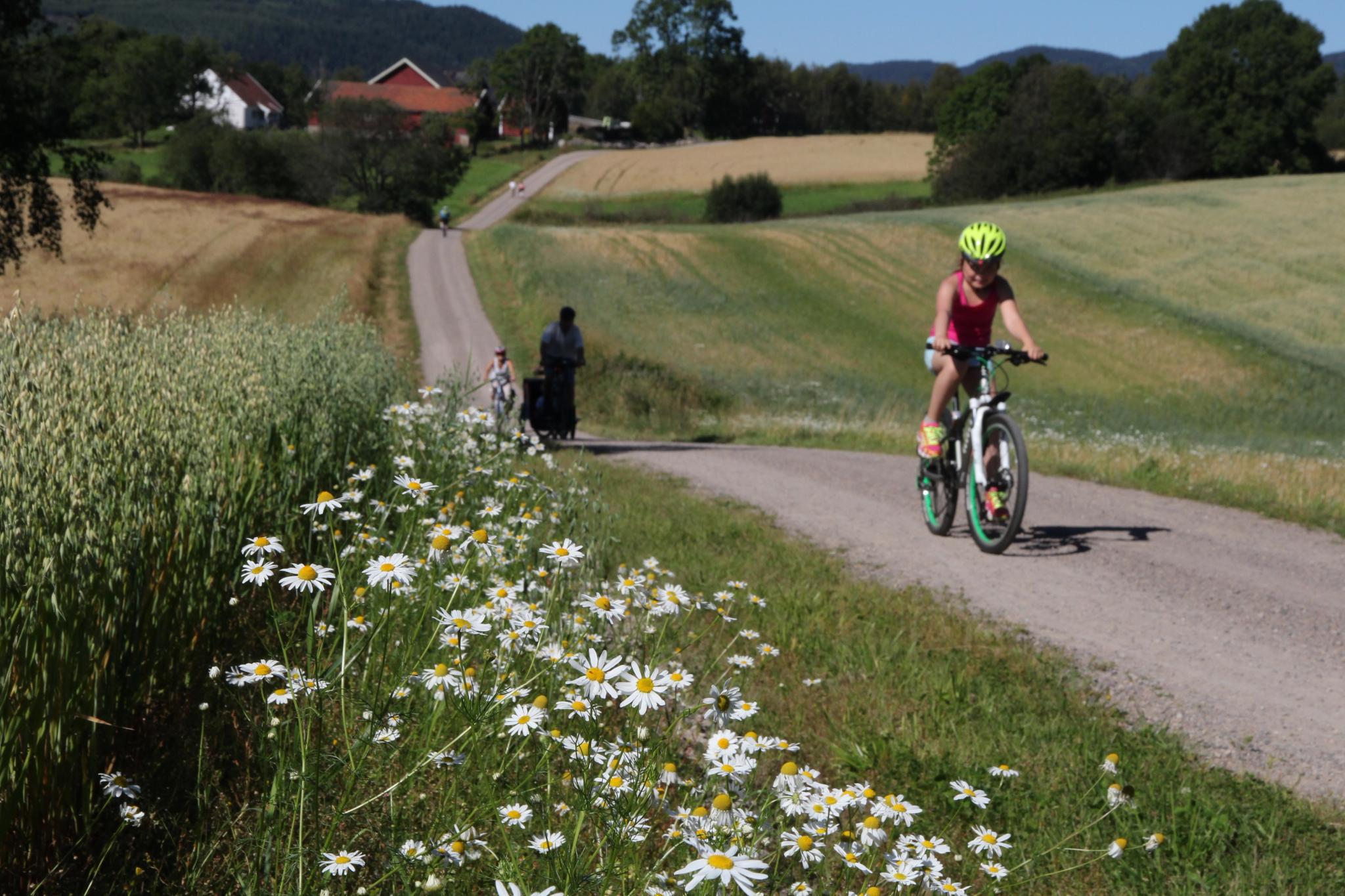 Varias personas montan en bicicleta por el valle de Maridalen, en Oslo, Este de Noruega.
