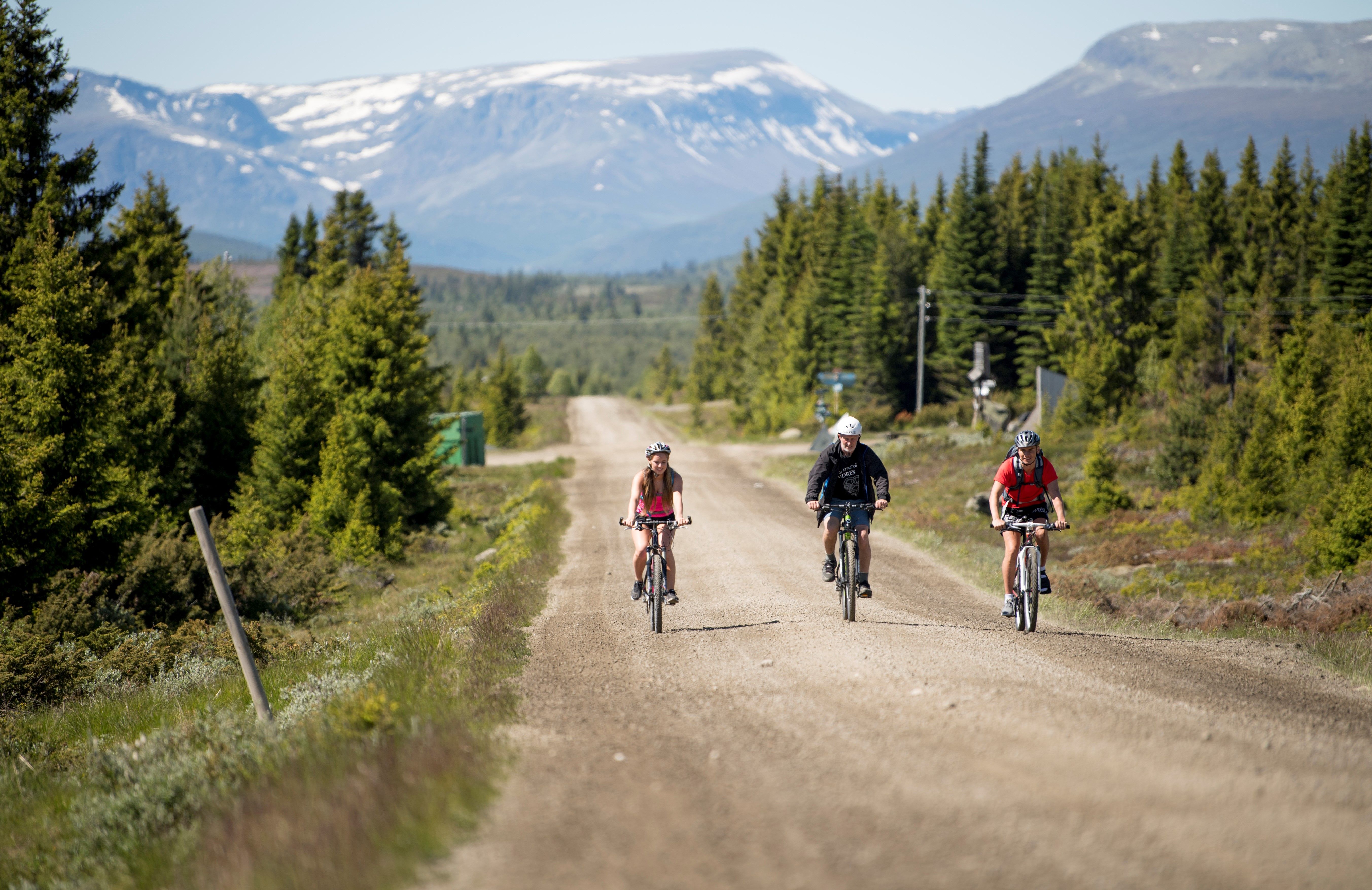 Three people tour cycling on Mjølkevegen in Valdres, Eastern Norway