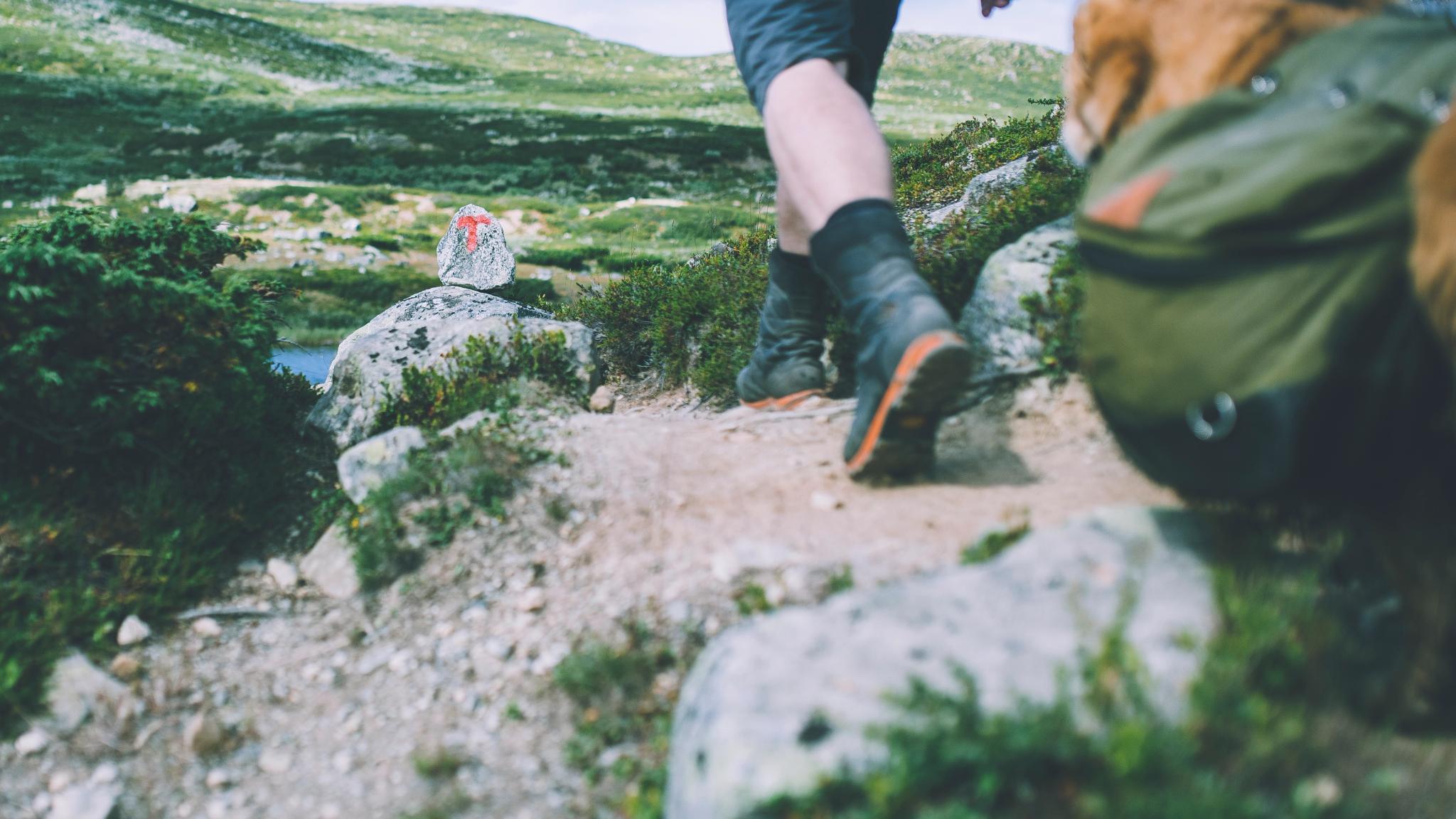 Person hiking at Hardangervidda, Eastern Norway