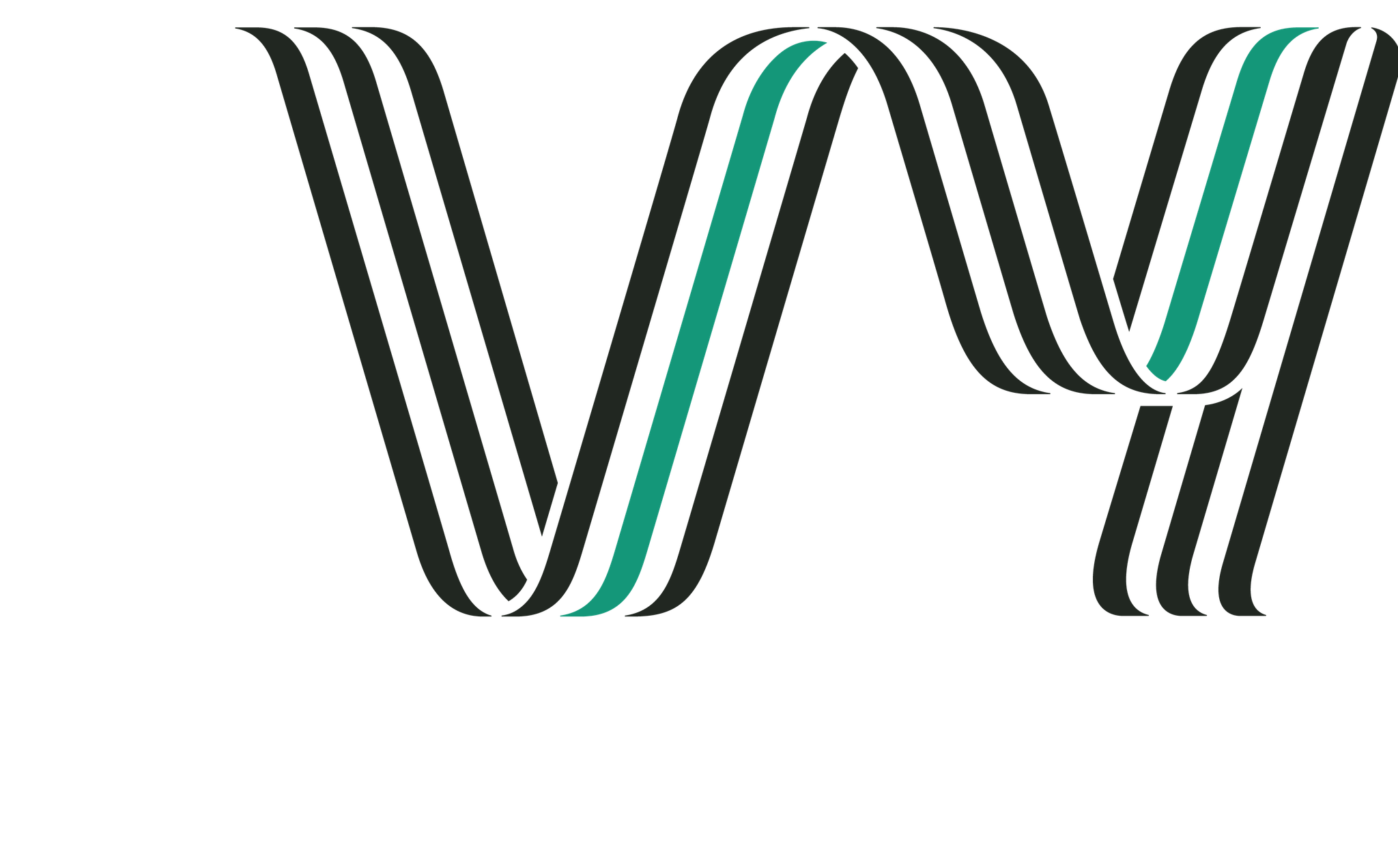 VY logo